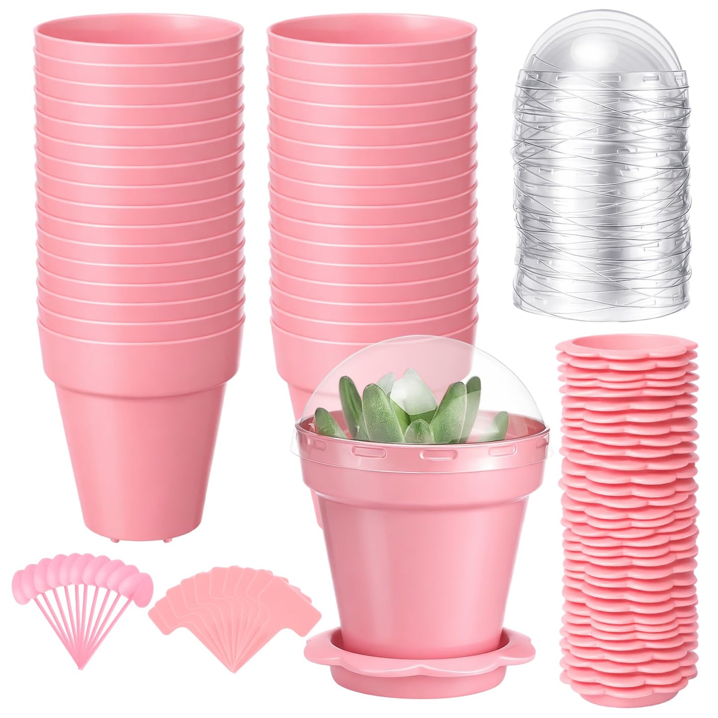 LOYIM 36 Packs Cupcake Plant Nursery Pots with Humidity Dome Small Flower Pots Plastic Planting Containers Cups with Saucers and Shovel for Indoor Outdoor Plant Succulent Display (Pink)