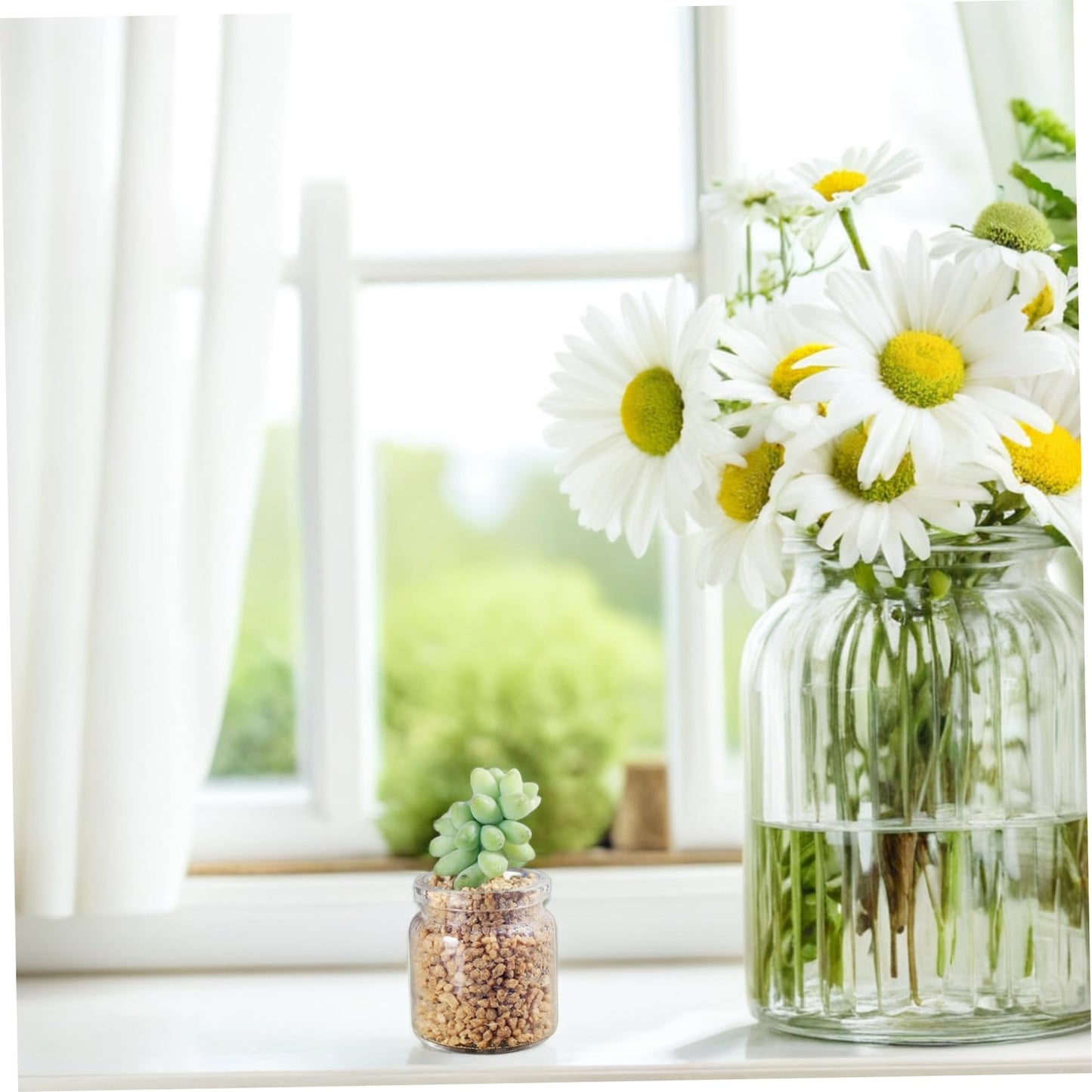 Toyvian 10pcs Elegant Miniature Glass Succulent Vases for Air Plants Display Micro Landscape Bottle Plant Propagation Jars