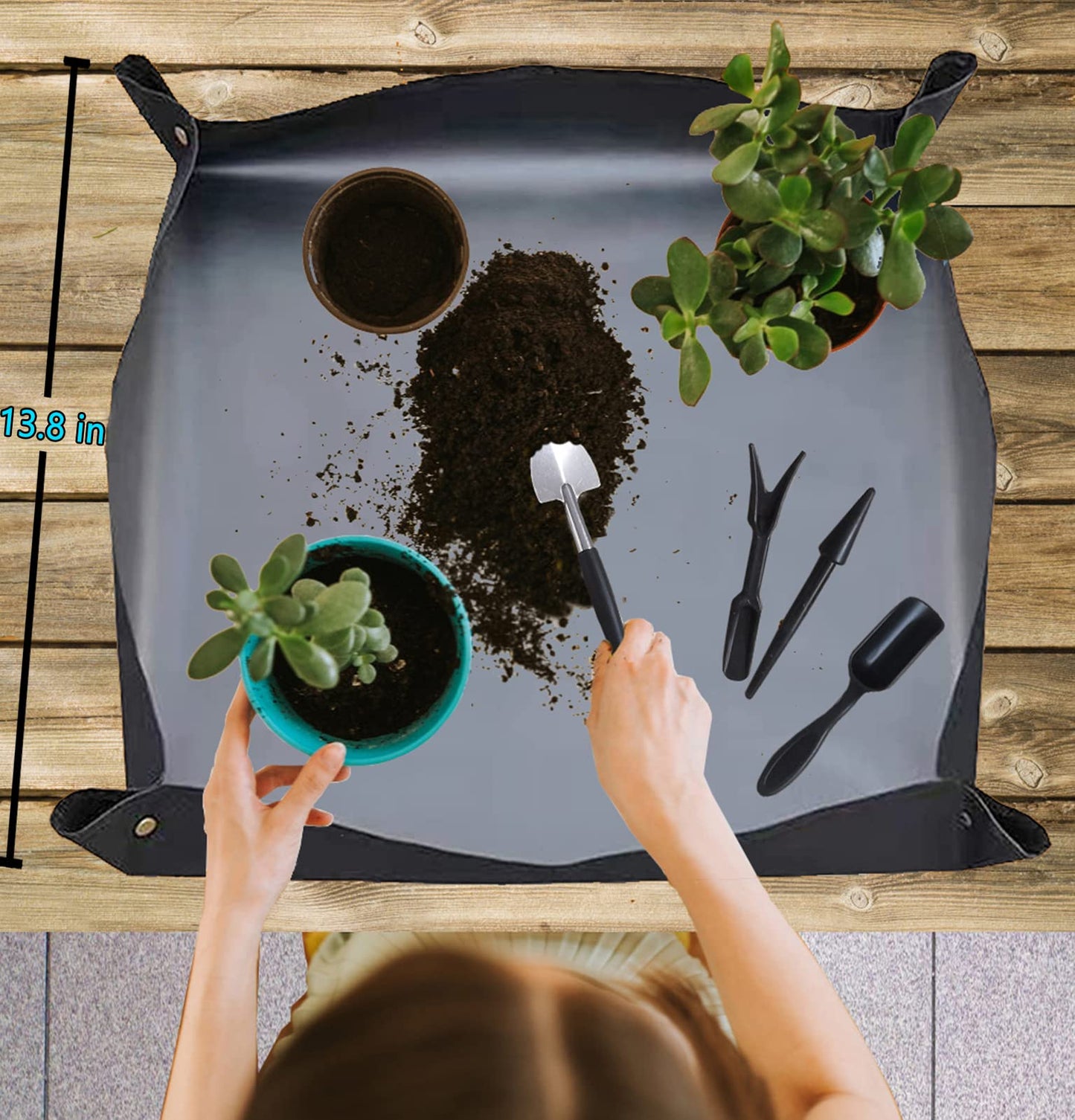 Bonsai Tools Set, 38Pcs Gardening Trimming Tools Kit Indoor Succulent Tool with 4 Tree Training Wire, Plant Repotting Mat, Bonsai Scissors in Leather Bag