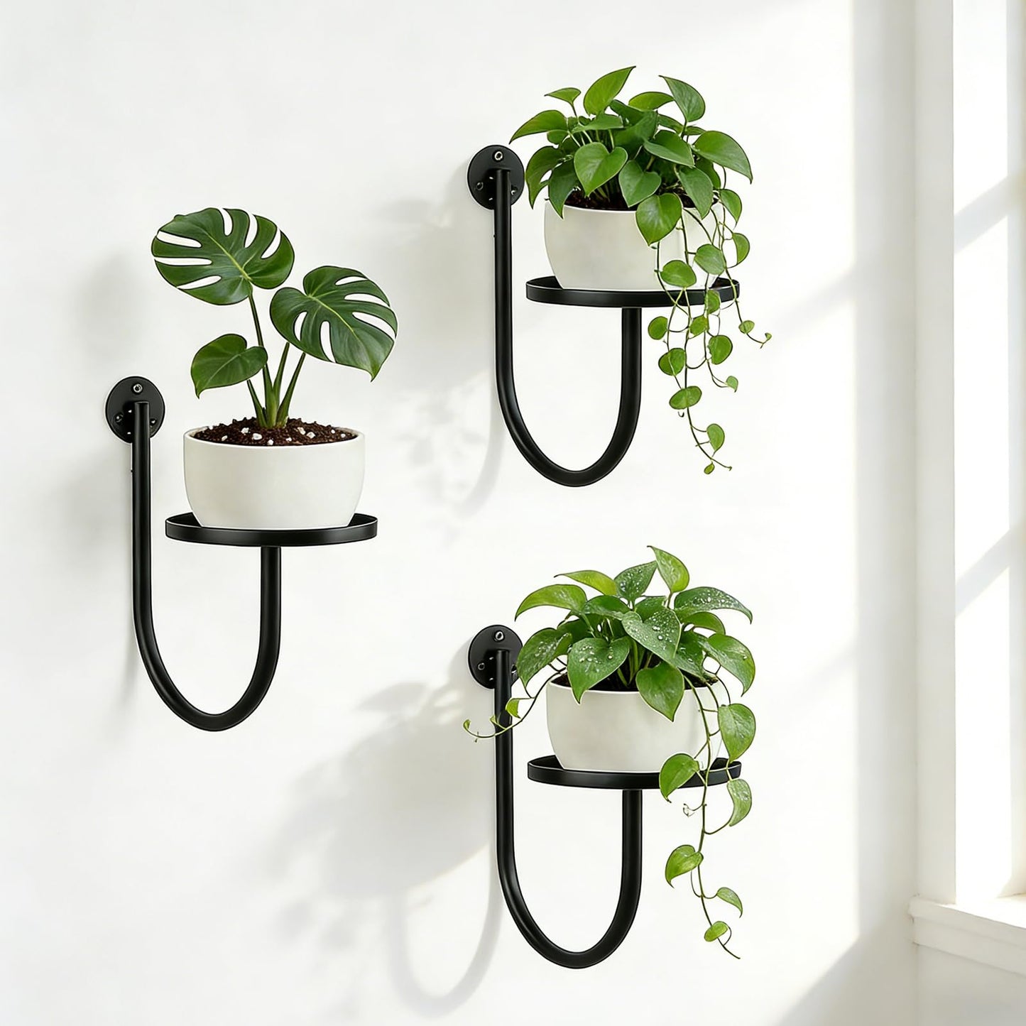 XNGZY Wall Planters for Indoor Plants, 3 Pack Wall Mounted Plant Holder, Metal Plant Floating Decor Shelves, Space Saving, for Bedroom, Living Room, Kitchen, Office, Bathroom Decor