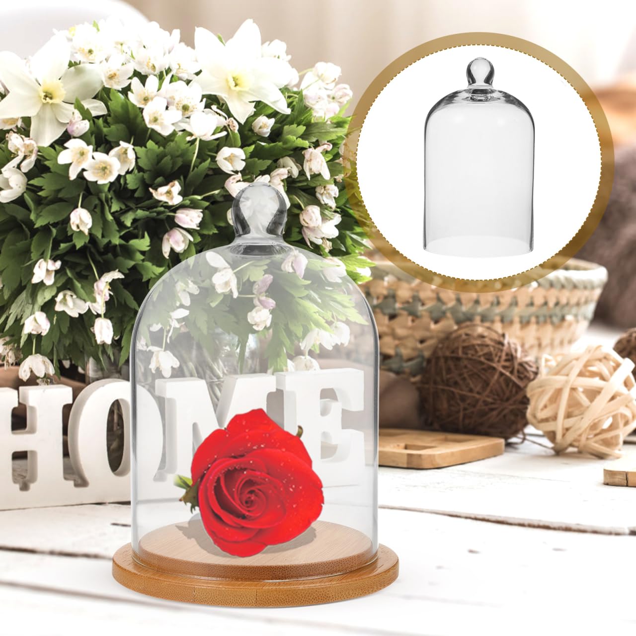 DEARMAMY Clear Glass Dome Cloche with Base Bell Jar Display Dome Office Home Decoration for Plants Succulents Fairy Lights Photos Medals Decorative Fill Collectibles