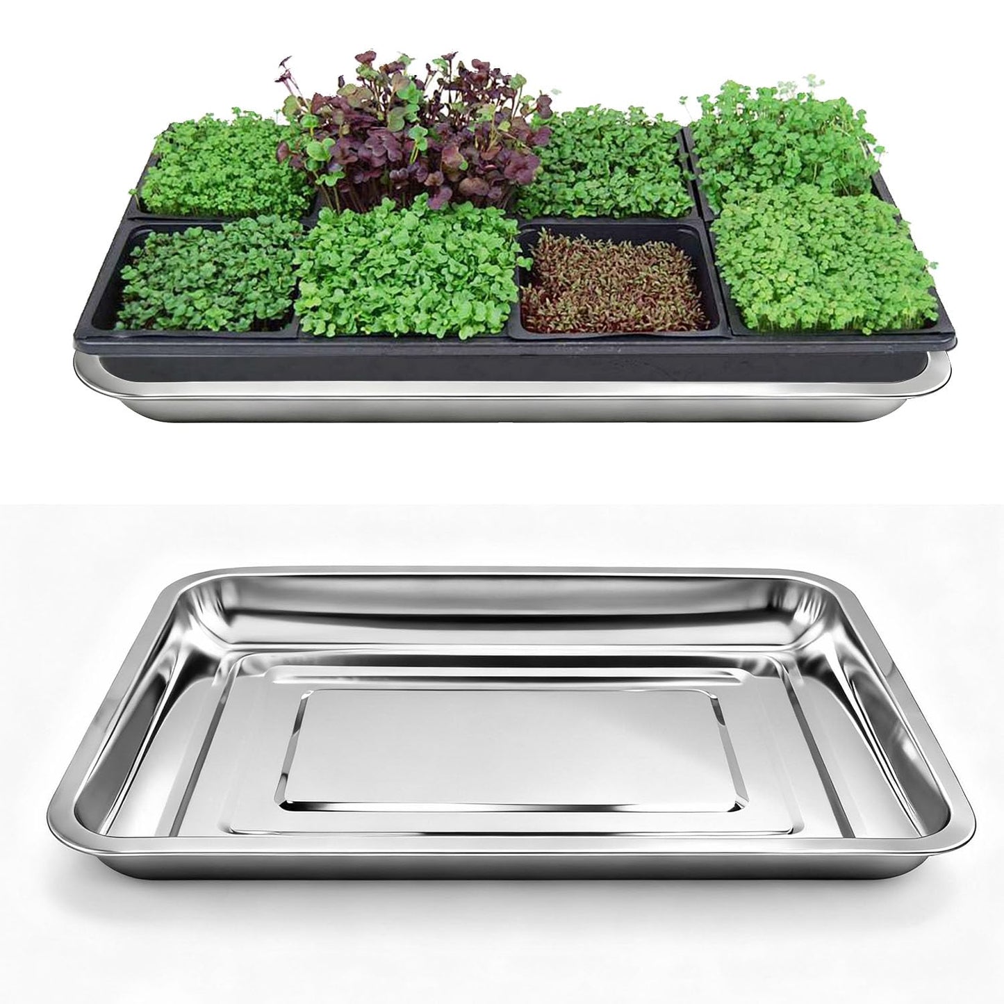 Yiksonyo 10-Pack 16 Inch Stainless Steel Growing Trays, Heavy-Duty Metal Sprouting Tray for Plants, Stainless Steel Plant Germination Trays for Hydroponics, Transplanting (Silver)