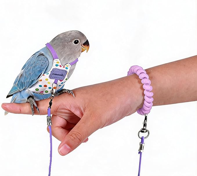 Bird Harness Leash Set Adjustable Vest Anti-Lost Wrist Strap for Parakeet Cockatiel Conure Lovebird (Purple, Sun Conure: 5.5 * 10cm / 5g)