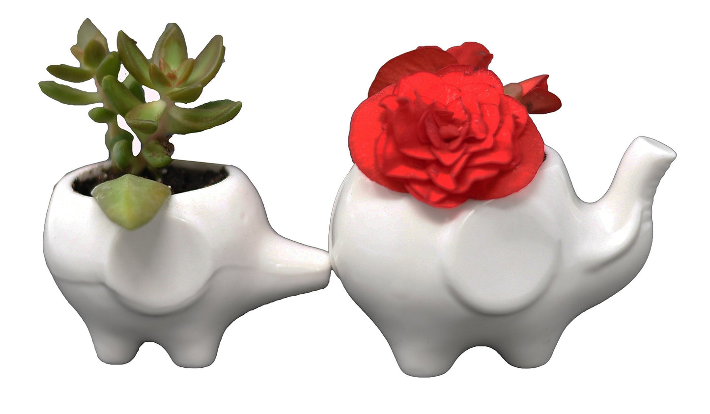 Ceramic Planters for House Plants-Plant Pots Set for Indoor & Outdoor Use (Mama & Baby Elephant Set) by Arad