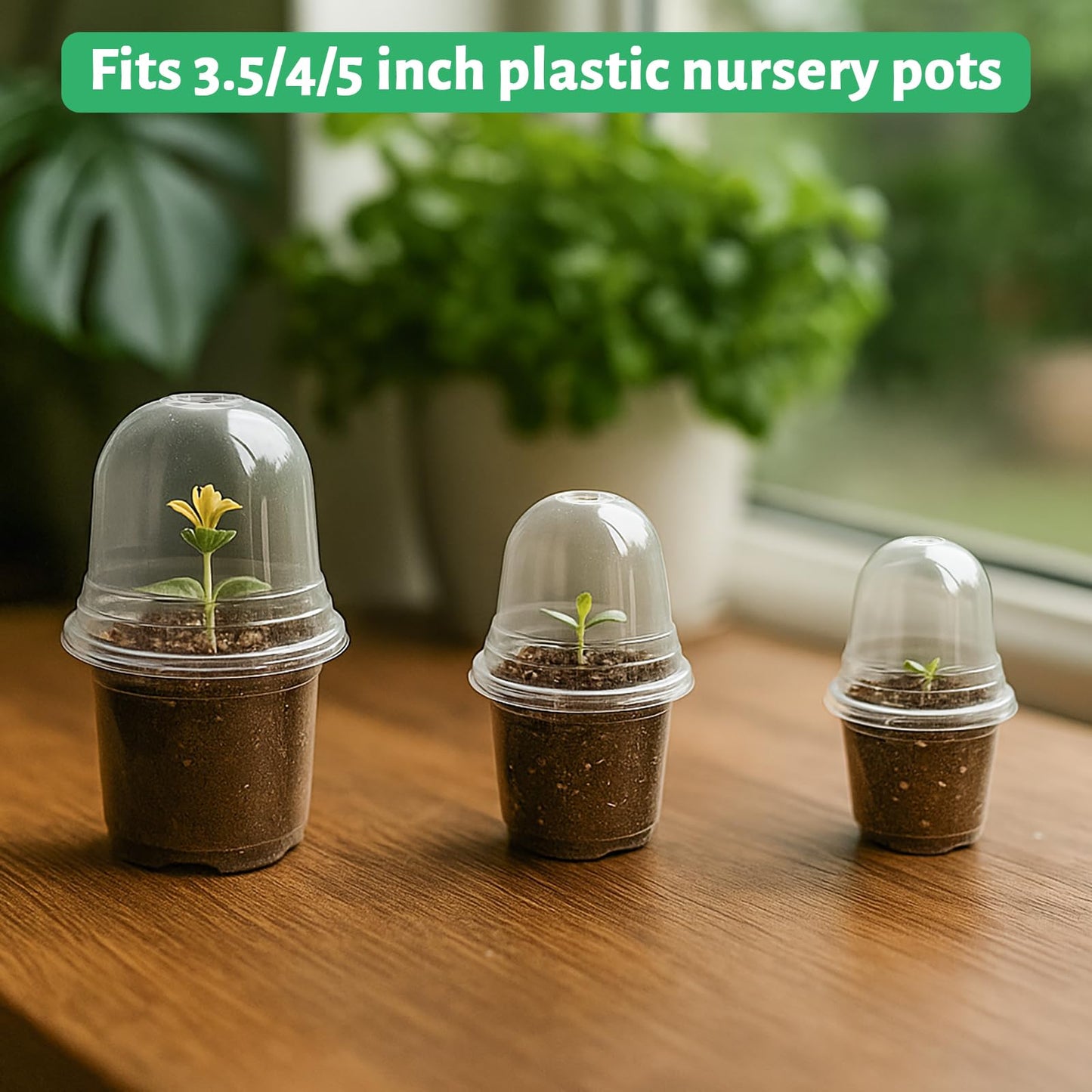 Bluepro 36 Packs 5/4/3.5 Inch Reinforced Clear Nursery Pots with Drainage Hole, Transparent Variety Pack Plastic Plant Pot Seedling Planter for Vegetable Propagation, Root Cutting, Seed Starting