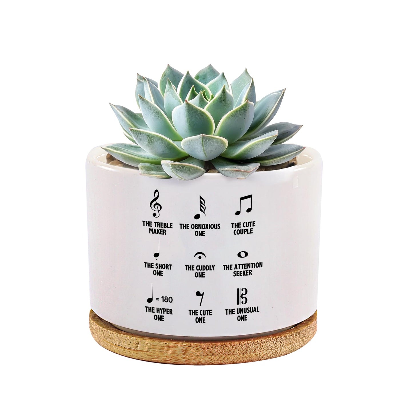 Loovelo Musical Notes Symbol Definition Musicians Gifts Music Teacher Gifts Pianist Choir Director Ceramic Succulent Plant Pot with Bamboo Tray Round Plant Lover Home Decor 3.5 Inch White (No Plants)