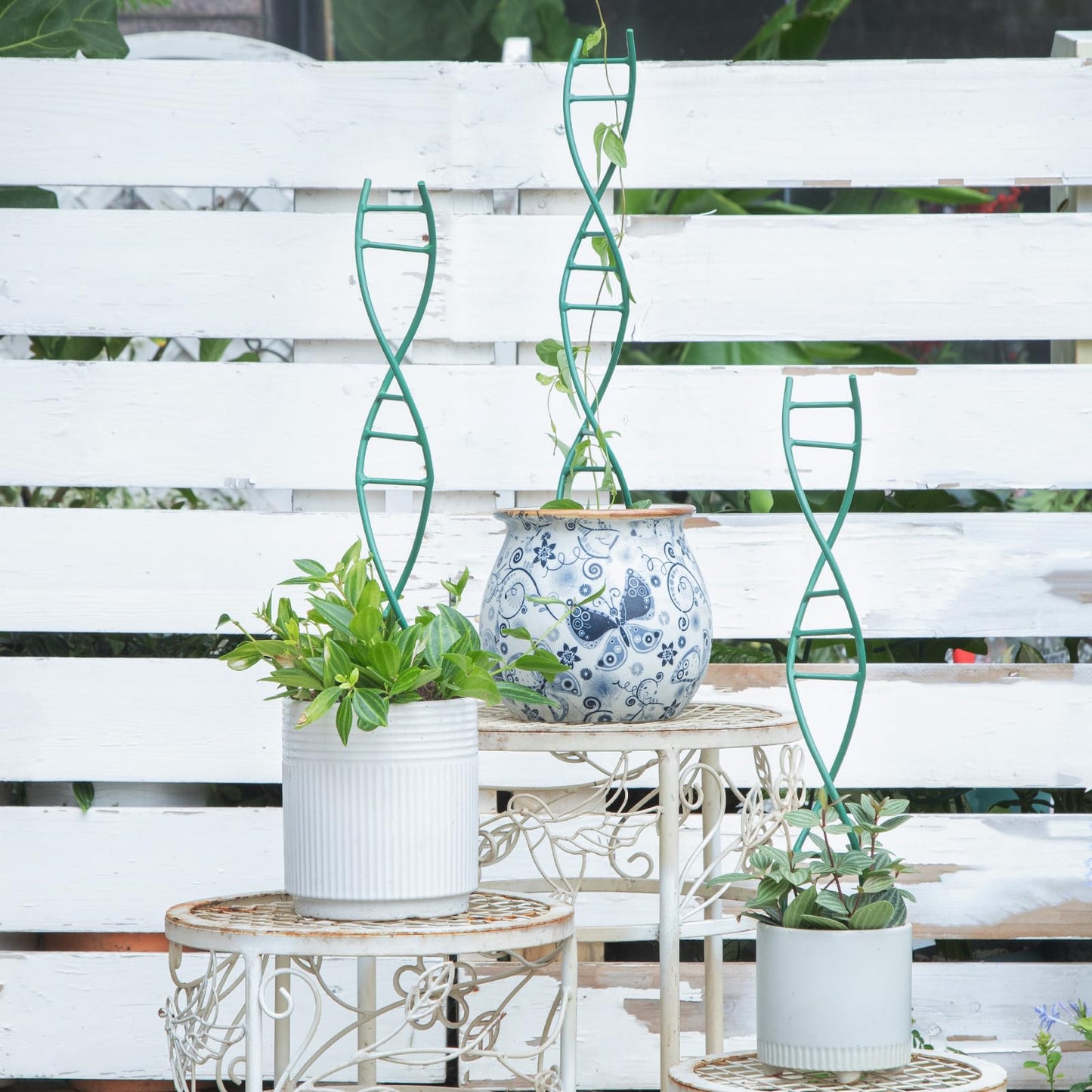 GOOOXIM Indoor Plant Trellis - DNA Spiral Design Metal Trellis for Potted Plants, Stylish Climbing Support for Small Houseplants, Durable & Easy to Install Garden Upgrade for Vining Plants