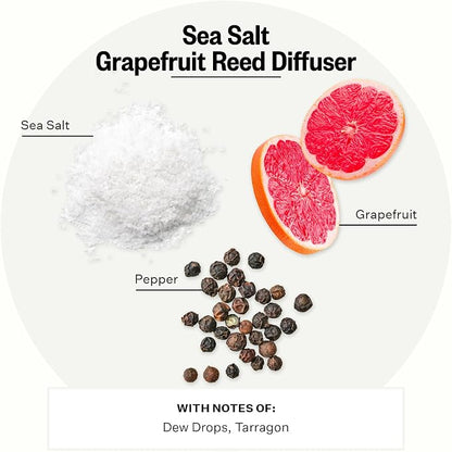 Apotheke Luxury Scented Reed Diffuser for Home, Sea Salt Grapefruit - 6.7 Fl Oz Essential Oil Aromatherapy - 10 Rattan Scent Sticks Room Diffuser - Long-Lasting Fragrance for Bedroom, Home, Bathroom