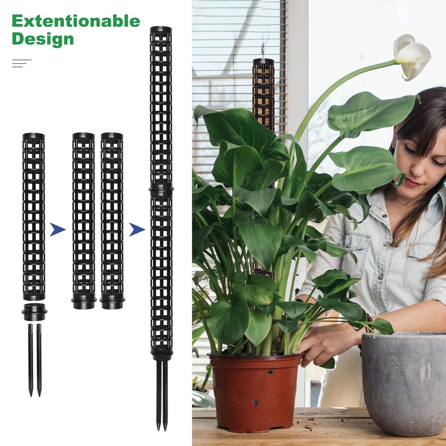 LangRay Moss Pole for Climbing Plants Monstera, Indoor Plant Supports, Plastic Moss Stick, Plant Stake for Garden, Extension Aid Climbing Rob (Black, 6pcs 10inch)