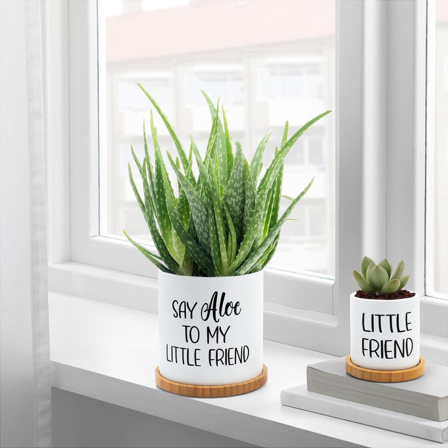 Tuitessine Say Aloe to My Little Friend Planter Plant Lover Set of 2 Spring Funny Pun Flower Pot with Bamboo Tray Ceramic Indoor Succulent Hole Spring Birthday Housewarming Gifts (No Plants)