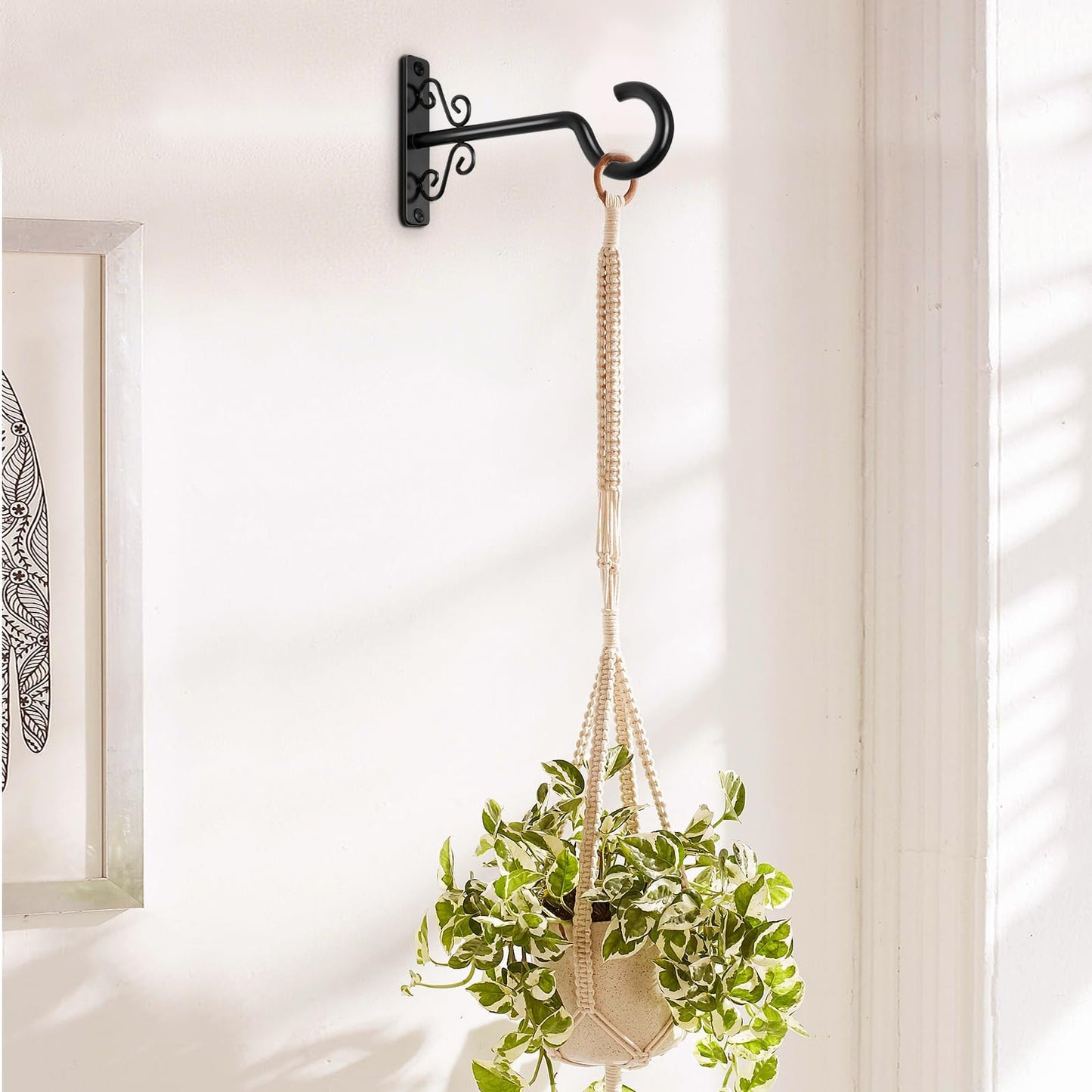BOLITE Plant Hangers, 6 Inch Hanging Plant Brackets Outdoor or Indoor, Wall Hooks for Hanging Hummingbird Feeders, Bird Feeders, Planters, Lanterns, Wind Chimes, 2 Pack, Black, Gifts for Women Men