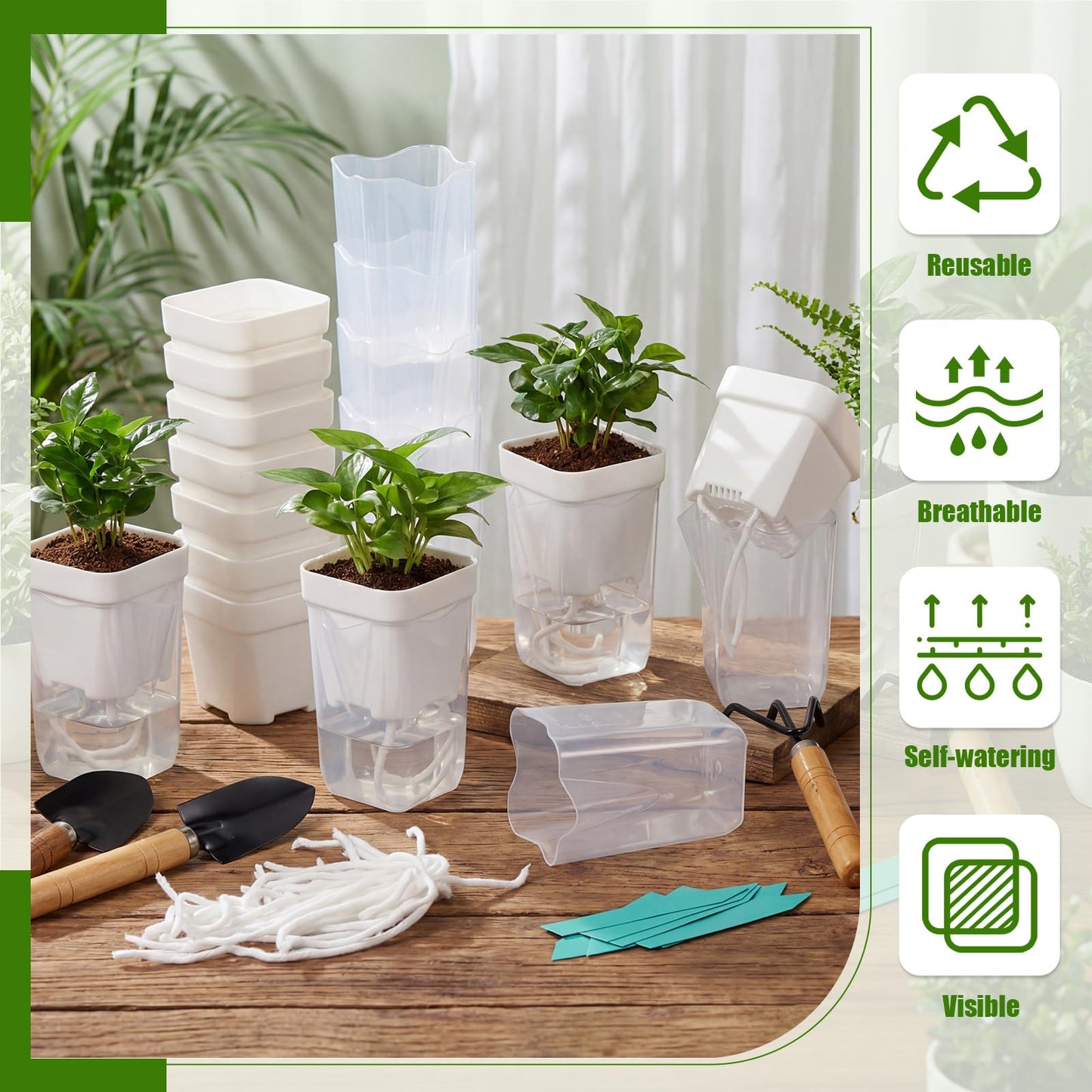 RimCereal 30 Pack 2.5" Small Self Watering Pots for Indoor Plants Clear Mini Self Watering Plant Pot with Water Level, Drainage Holes 30 Plastic Label 3 Planting Tools, Rope for Propagation Succulents