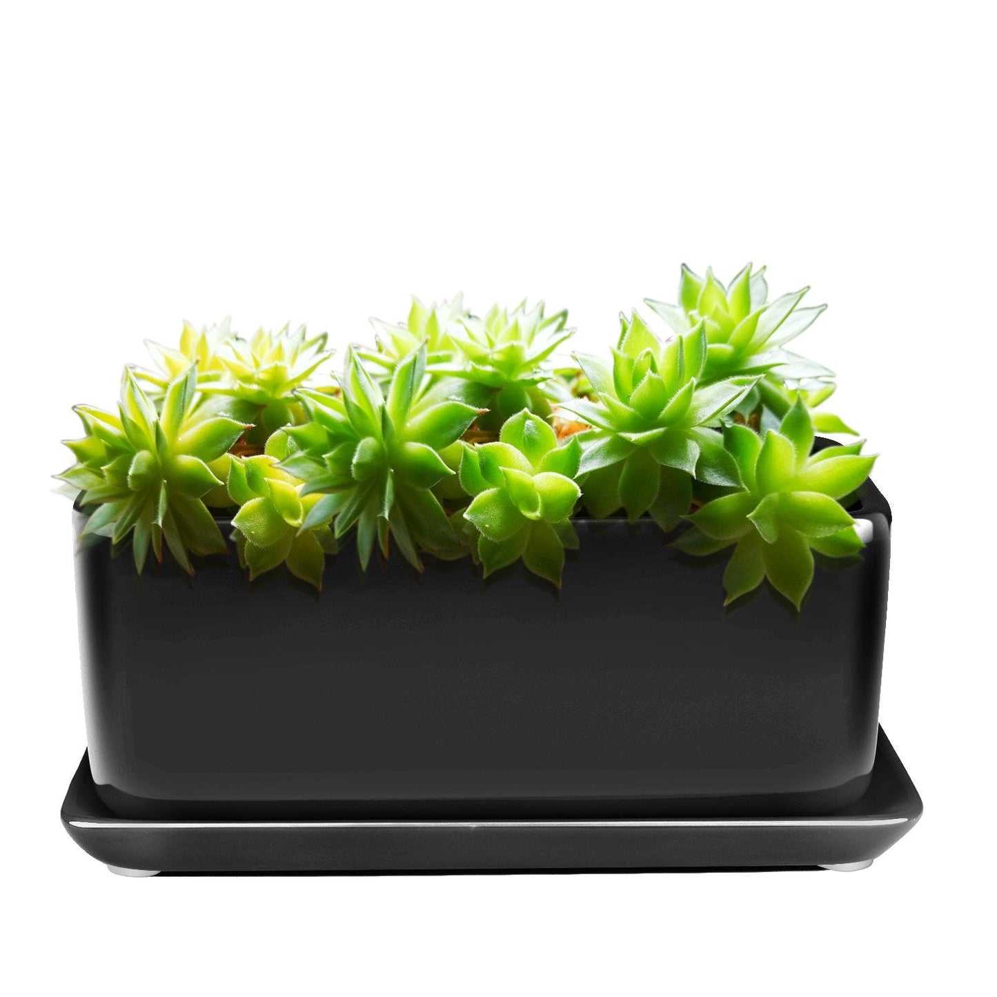 Flexzion 10 Inch Rectangular Ceramic Succulent Planter Pot - Cactus Herb Flower Container Window Box Holder with Removable Drip Tray Base for Tabletop Desktop Indoor Outdoor Home Office Garden (Black)