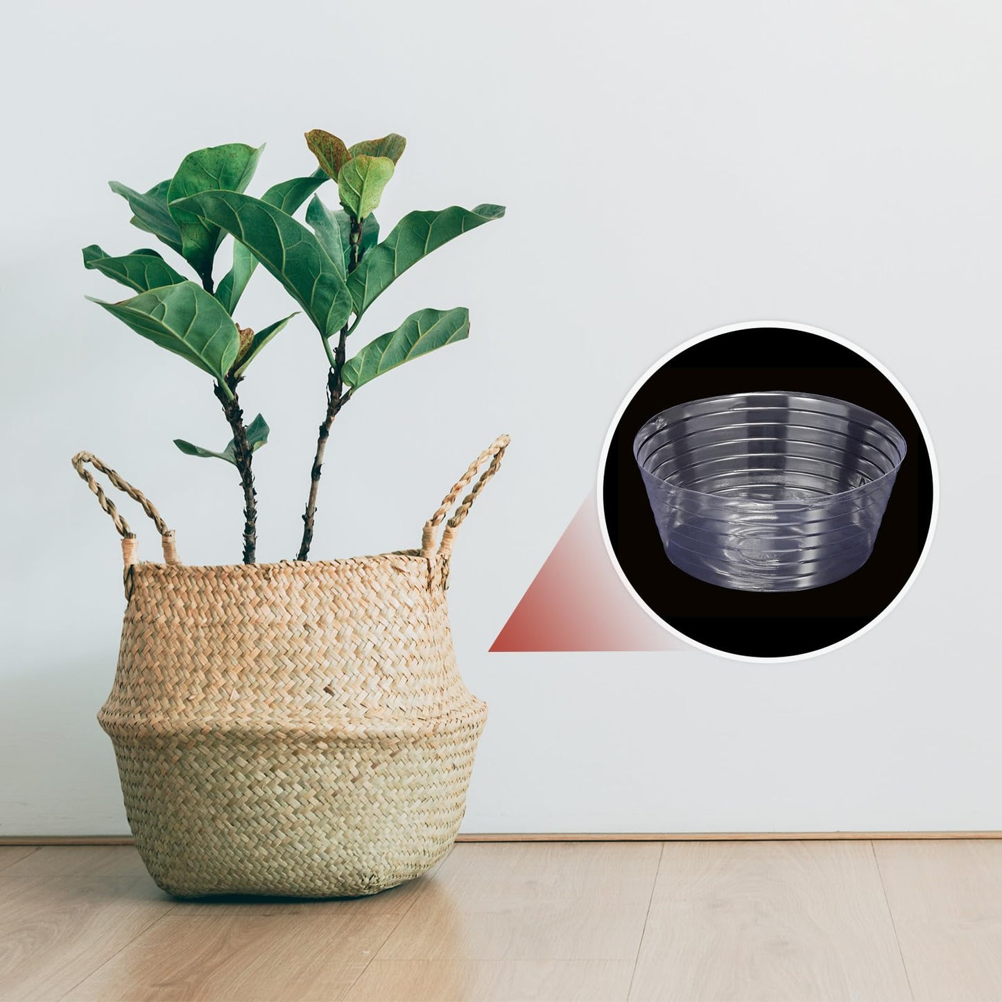 TIXIPEM 8IN Plant Pot Saucer [10PCS] - Round Deepened Flower Drip Tray Use for Indoor Outdoor Garden Potted Plants - [Clear] Plastic Plant Saucer