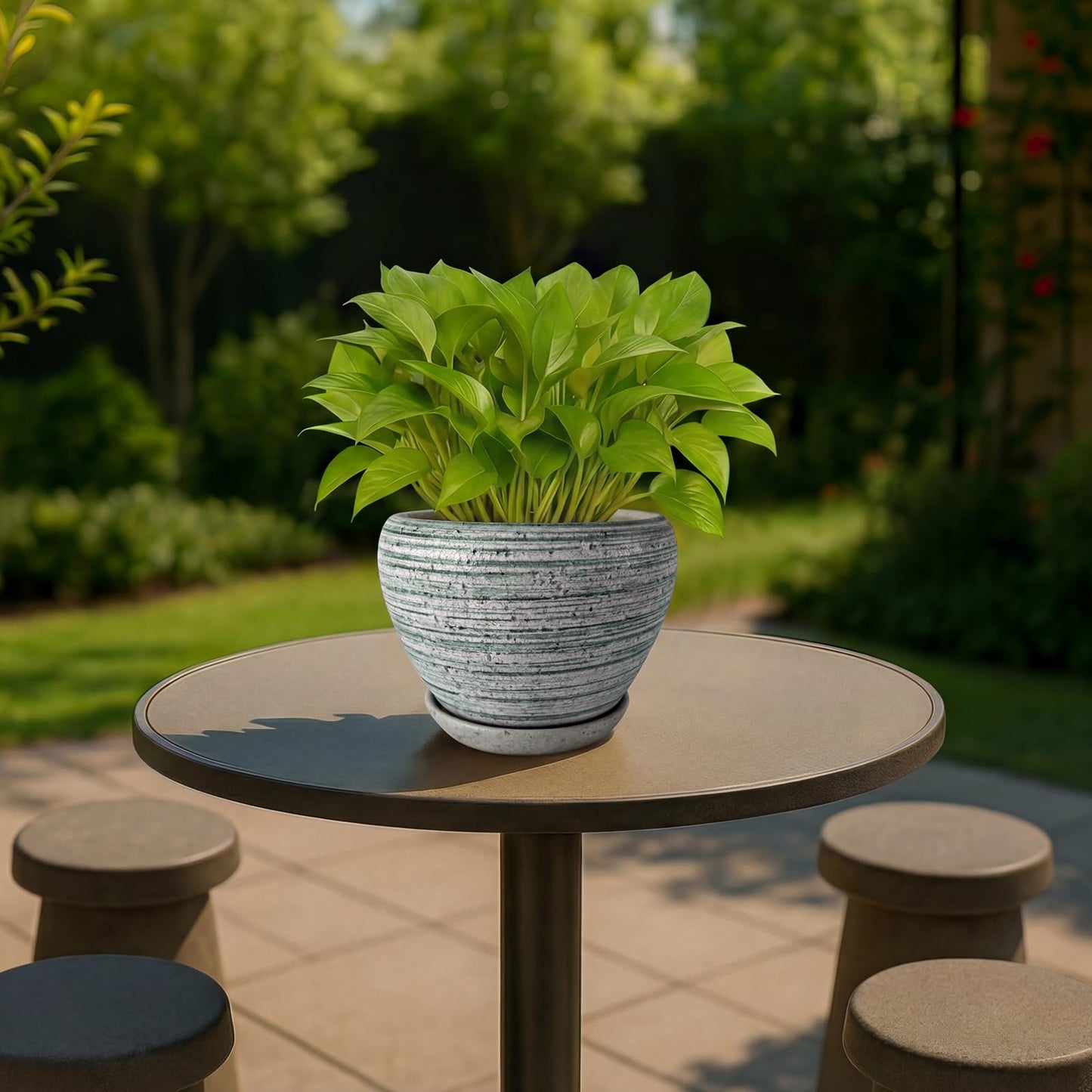 Deep Dream 6 Inch Plant Pots- Ceramic Planter Pot with Drainage Hole and Saucer, Round Flower Pot for Indoor Outdoor Succulent, Snake Plants and Cactus, Brushed Green