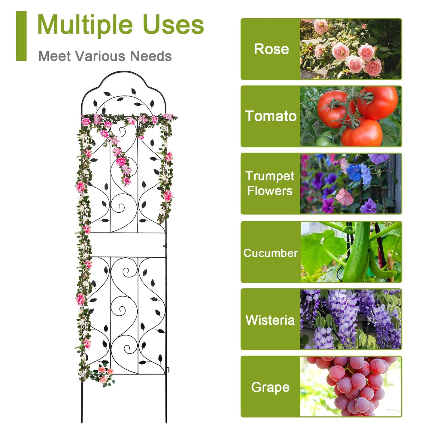 hogardeck Metal 84 * 19 Garden Trellis 2-Packs for Climbing Plants Flowers Vegetables Planting Arched Outdoor Decoration for Courtyards Lawns Gardens