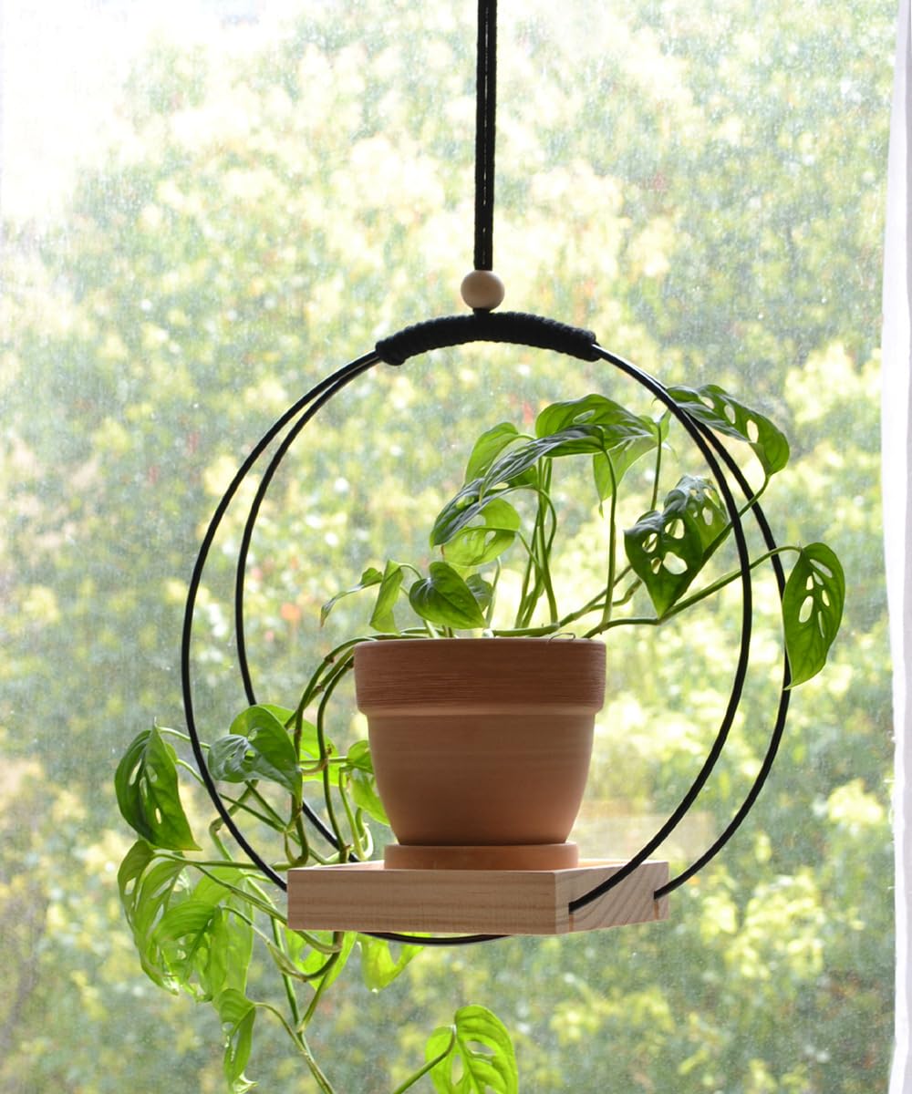 Dravmola Plant Hanger with Wood Base - Boho Macrame Hanging Plant Holder for Indoor Plants Hanging Planter for Wall /Window/Room Decor Black (Pot & Plant Not Included)