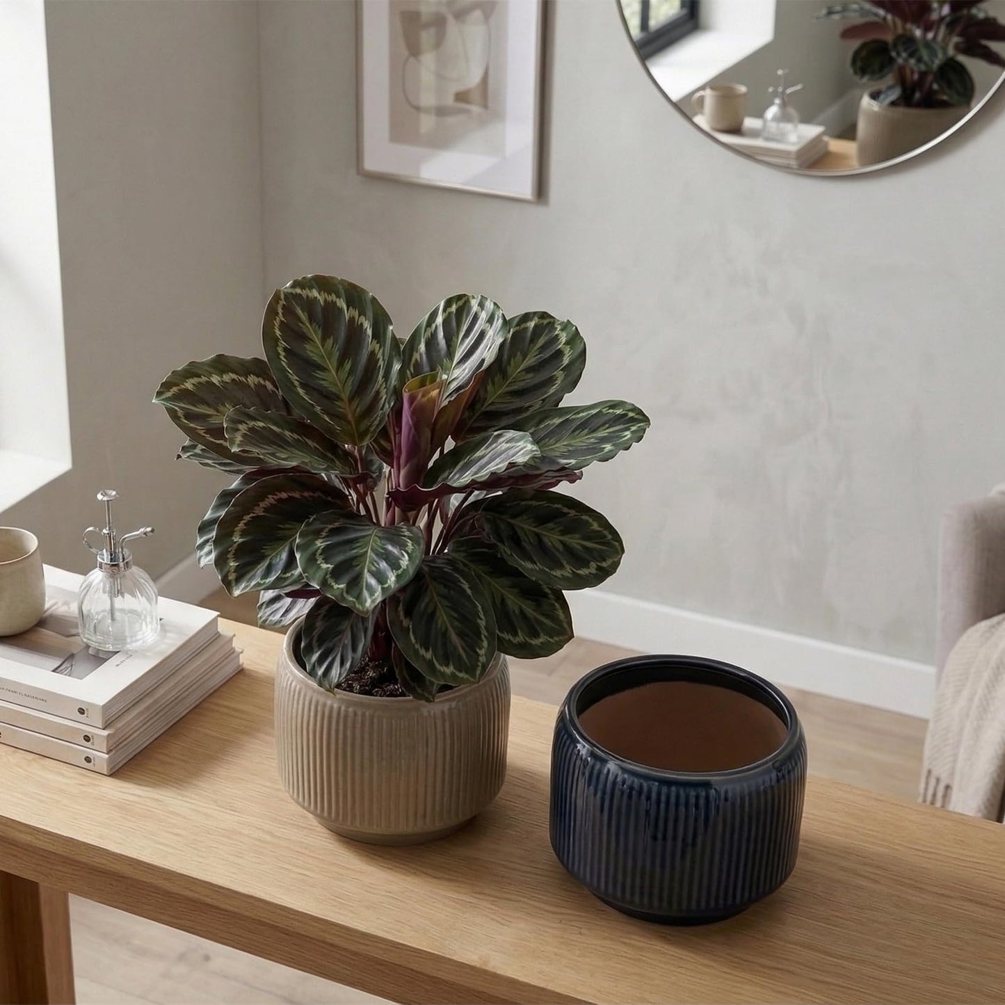 Sin wings 6 Inch Ribbed Ceramic Planter Set, Shallow Round Flower Pot with Drainage Hole, Modern Glazed Indoor Plant Pot for Fern Succulent Small Houseplant Desktop Windowsill Home Decor, 2 Pack