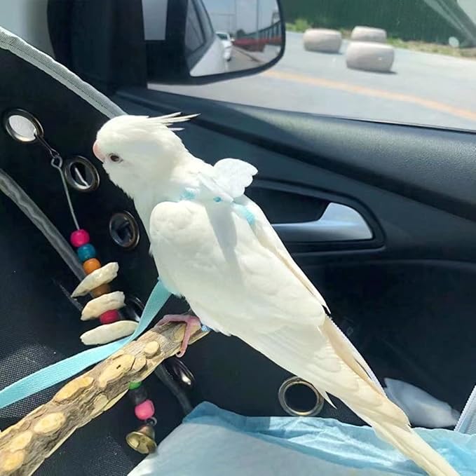 Pet Parrot Bird Harness Leash Adjustable Bird Flying Harness Traction Rope with Cute for Parrots Budgerigar Lovebird Cockatiel Mynah Outdoor Training Toy (Quaker/Sun Conure,White)