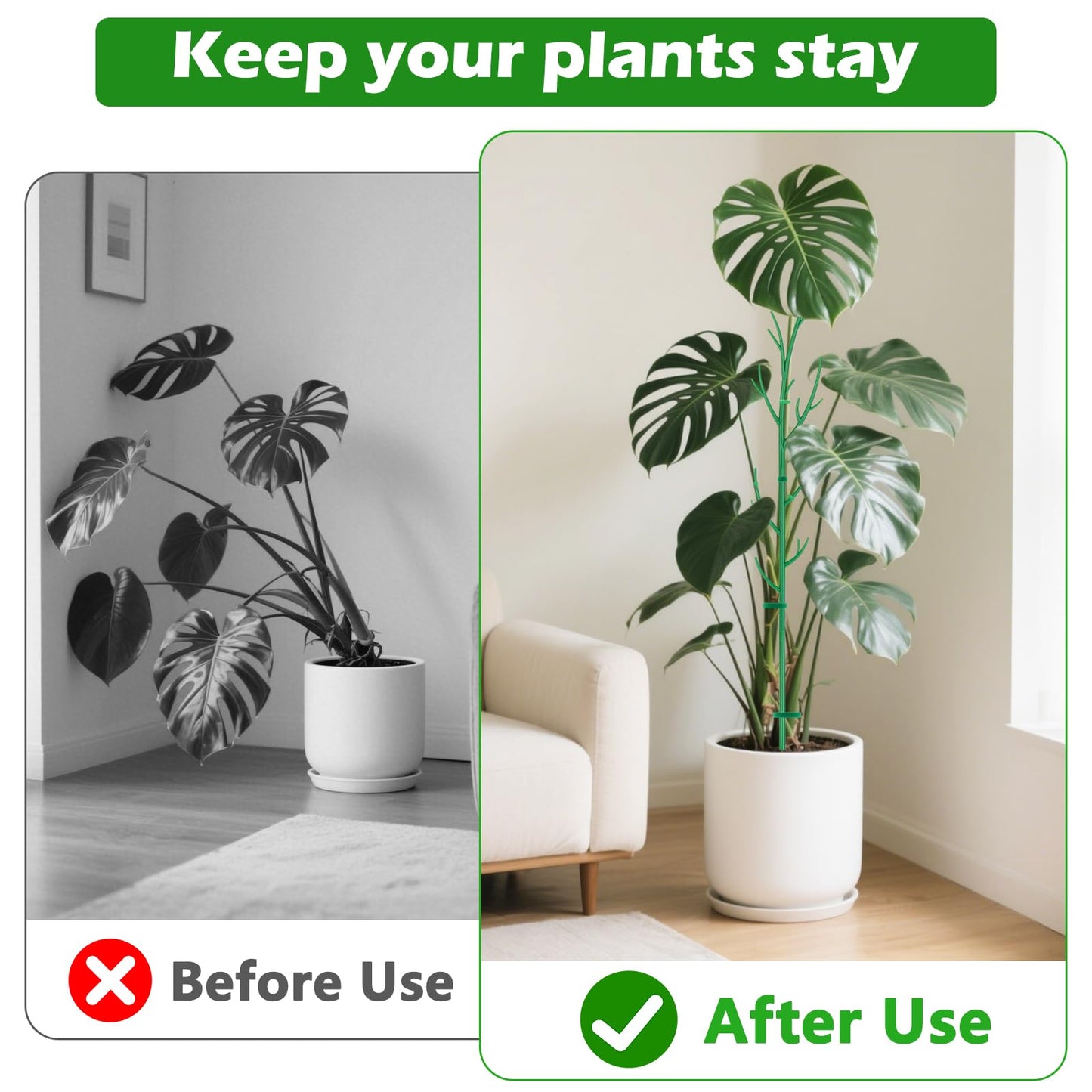 Dreamtop Stackable Monstera Plant Support Stakes 10 Pack Climbing Plant Support Structures，39.37'' Plant Support Stakes with Plant Clips Twist Ties for Monstera，Pothos，Indoor & Outdoor Plants