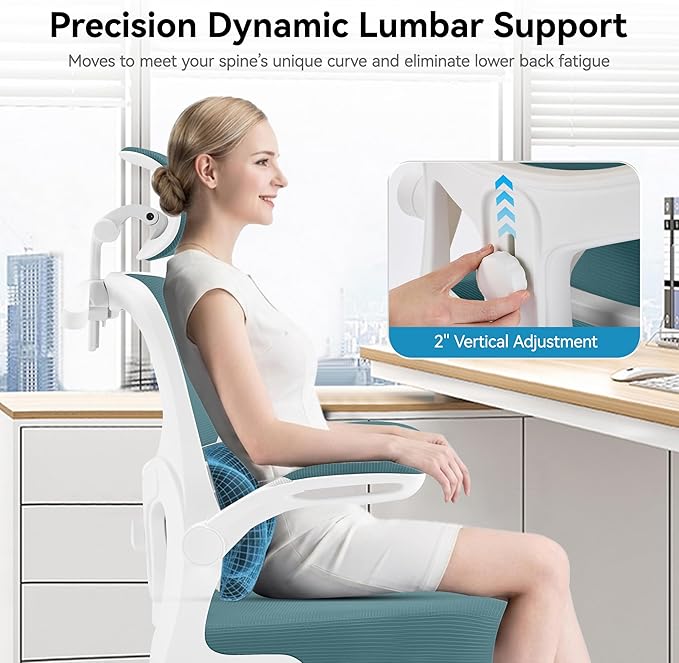 AreShark Office Chair Ergonomic Desk Chairs