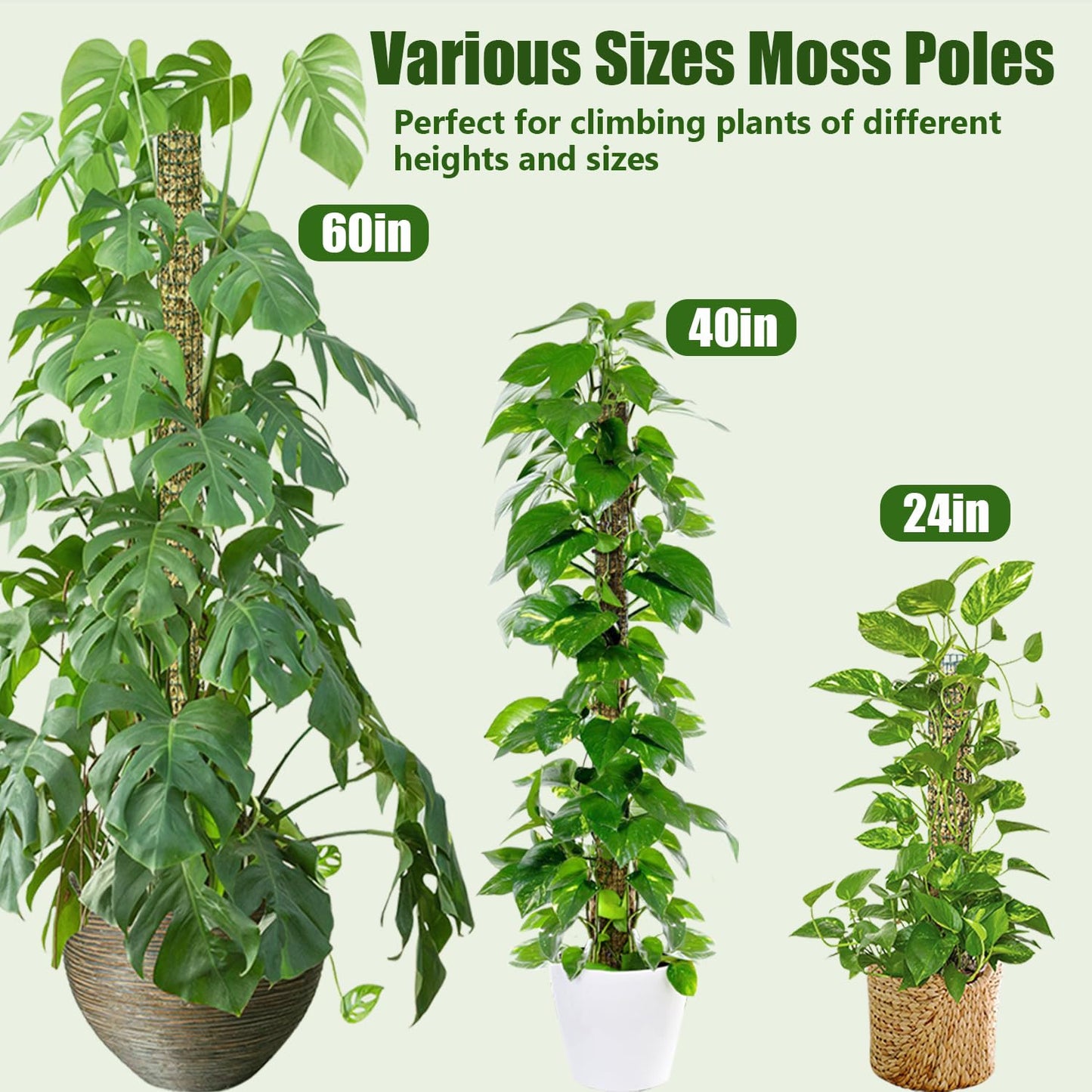 Metal Moss Pole, 60"/40"/24" Moss Poles for Plants Monstera, Stackable Sphagnum Moss Pole, Plant Poles for Climbing Plants Work with Sphagnum Moss(1 Each of 60" 40" 24")