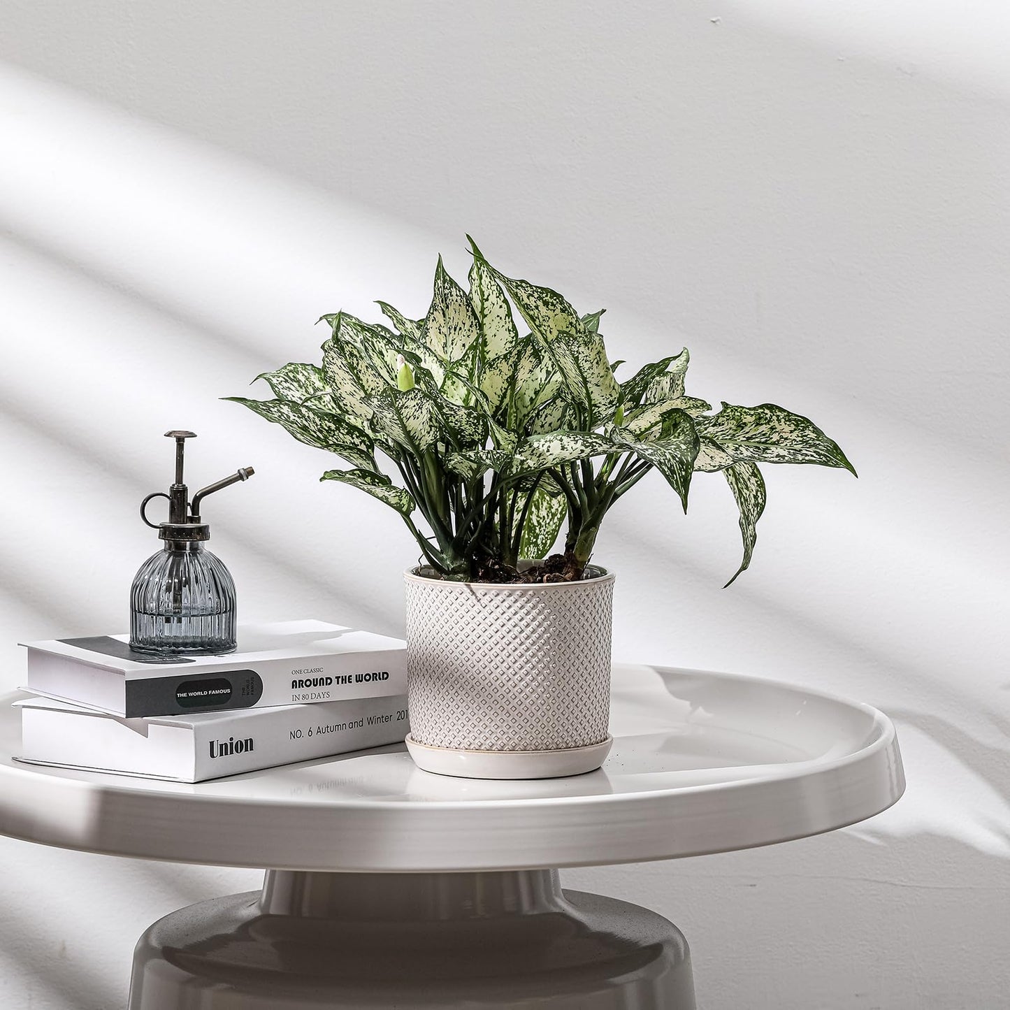 Chubacoo 5.8 Inch Plant Pot: Ceramic Planter with Drainage Hole & Saucer for Indoor Outdoor Plants - Flowerpot with Bonded Tray for Home Office - Beaded Embossed Style, Cream White