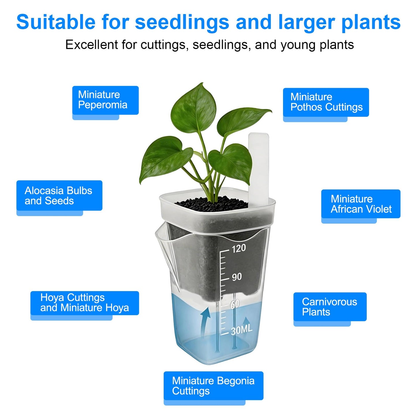 Fukaisu 12pcs 2in/5cm Self Watering Plant Pots with 12 Plant Labels, Small Clear Plastic Propagation Cups with Water Level Indicator & Drainage Hole for Seedlings Cuttings Succulents Herbs Vegetables