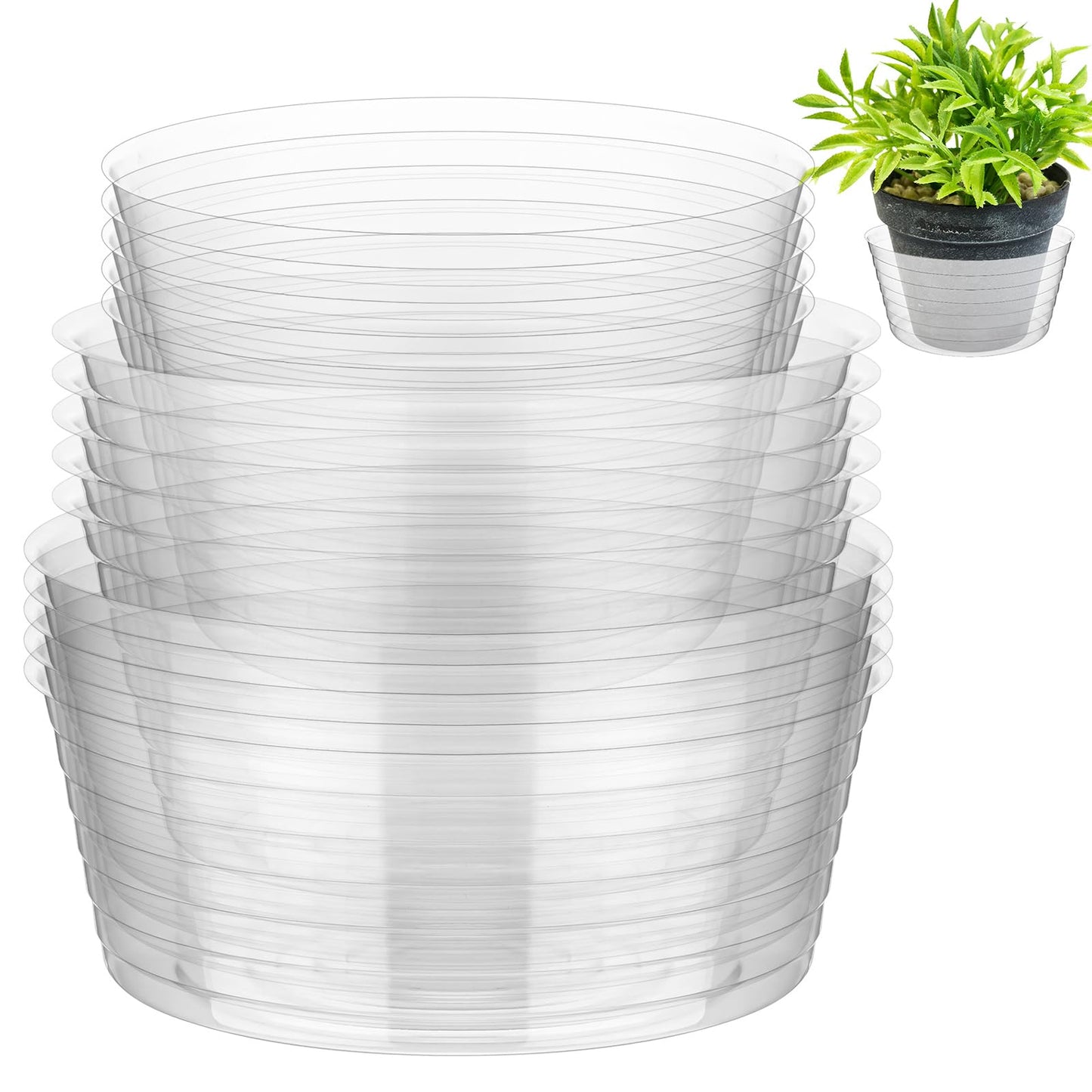Hoolerry Plastic Plant Saucer Clear Deep Drip Tray Thickened Clear Plant Saucers Trays for Pots Deep Drip Trays for Home Garden Indoor and Outdoor Potted(15 Pcs,8, 10, 12 Inch)