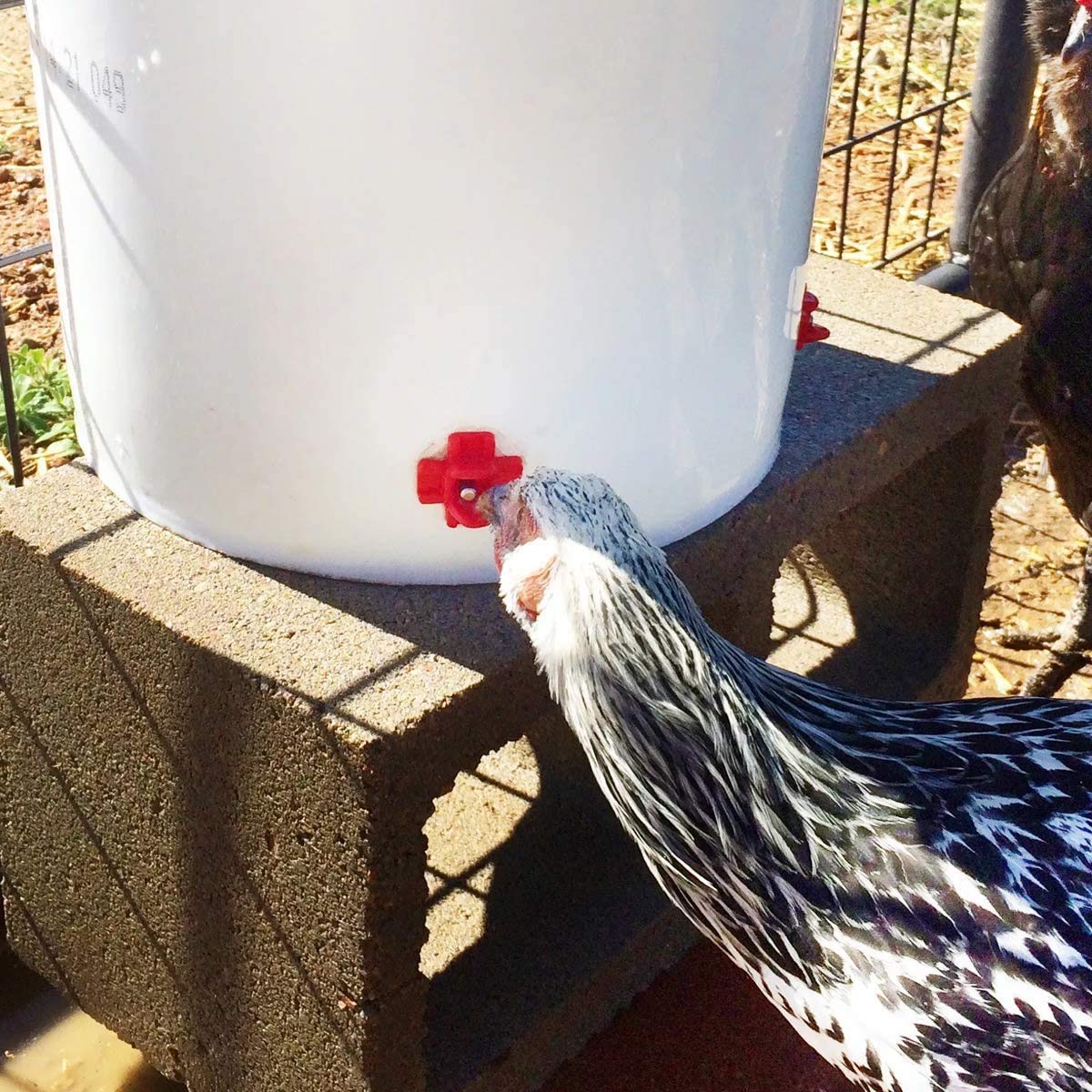40 Pack Chicken Waterer Nipples - Easy Install Leakproof Poultry Watering System for Chicken Coop, Quail Duck Water Feeder Nipples with Drill Bits