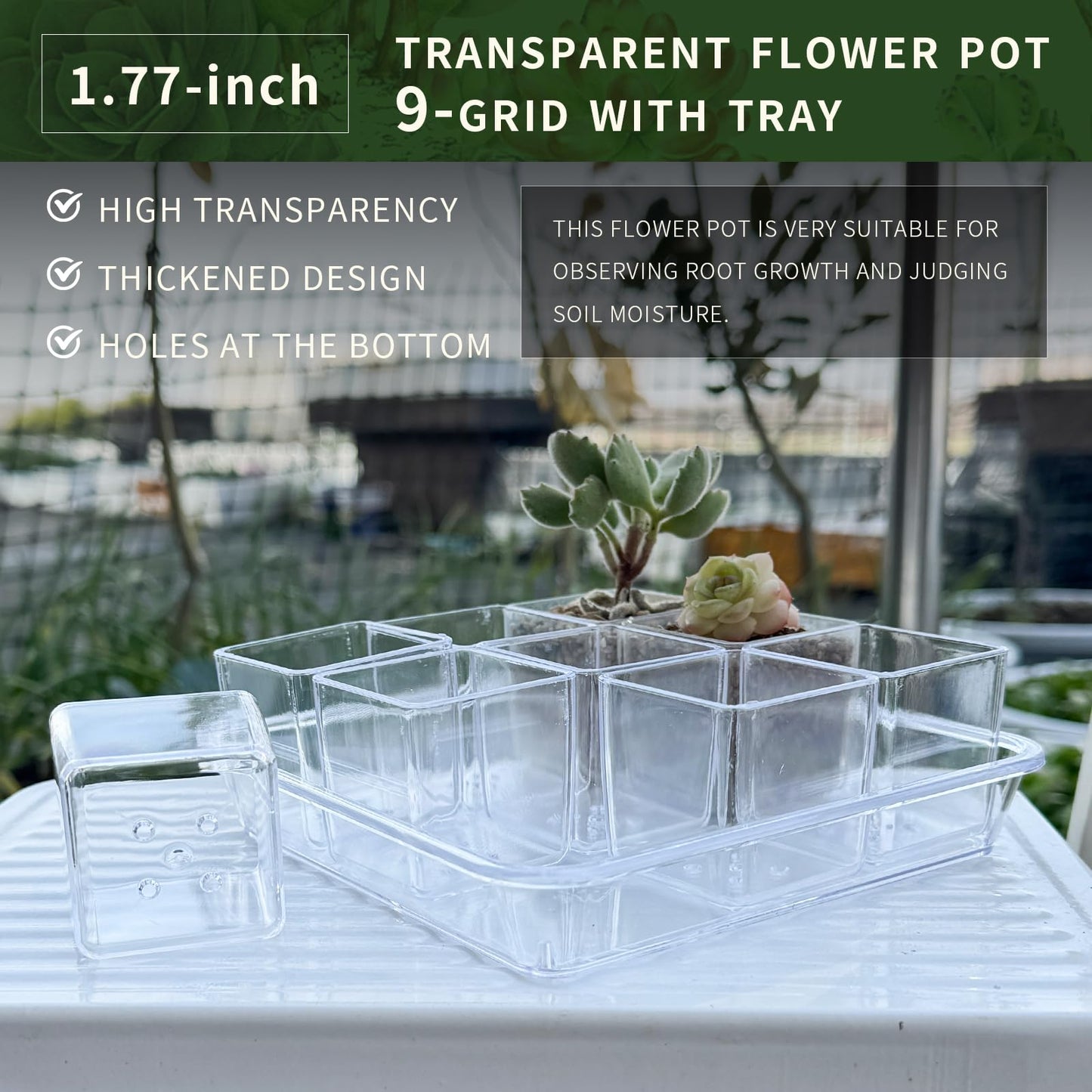 QCSMBFL 9pcs Mini Square Flower Pots, 1.7in Clear Plastic Planter with Drainage Hole - Lightweight Indoor Desktop Nursery Decorative Pot for Succulents, Cactus, Seedlings, Home Greenery