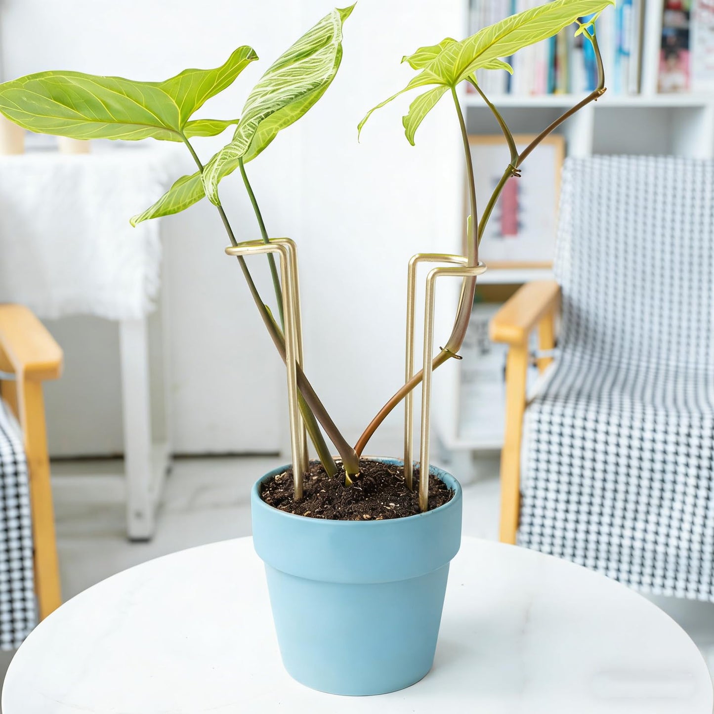 GOOOXIM 8.7 Inch Indoor Plant Trellis -10 Pack Small Gold Plant Supports for Outdoor Plants, Monstera Trellis Stakes & Stem Holders, Durable Iron Garden Flower Support for Young Plant Growth