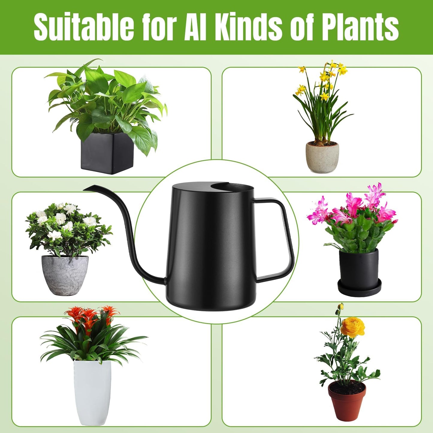 Lizhluzh 34 oz / 1000 ml Watering Can Indoor Plants, Stainless Steel Plant Watering Can with Long Spout (Black)