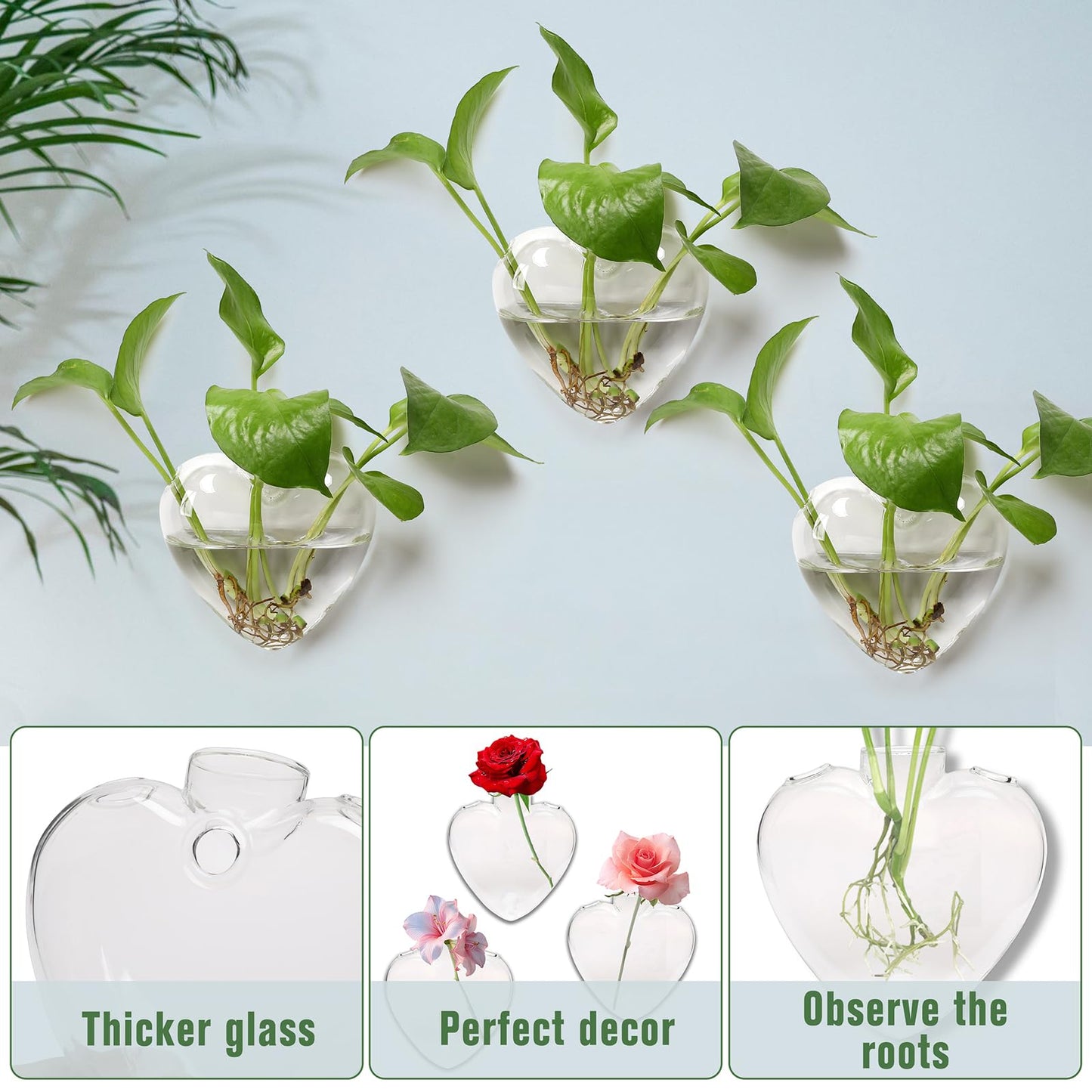 CYZglass Wall Hanging Planter Propagation Station for Indoor Plants Glass Vase Air Plant Holder Gift for Women Girlfriend Plant Lover