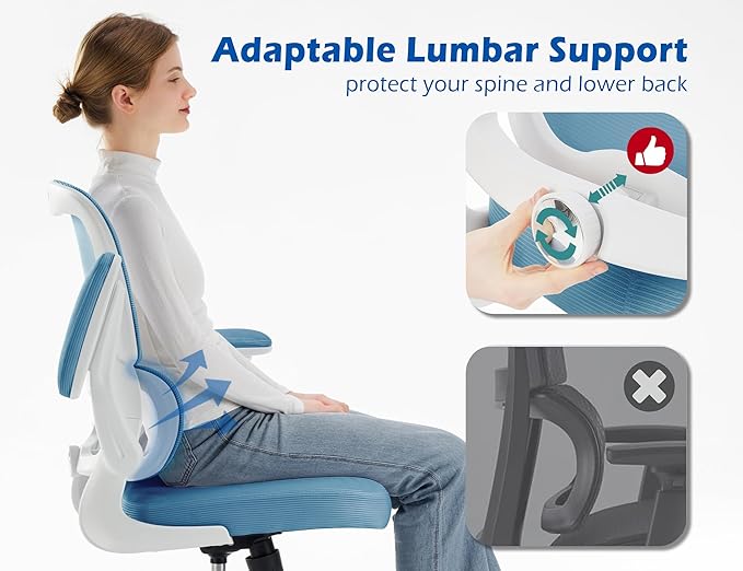 TRALT Ergonomic Office Chair