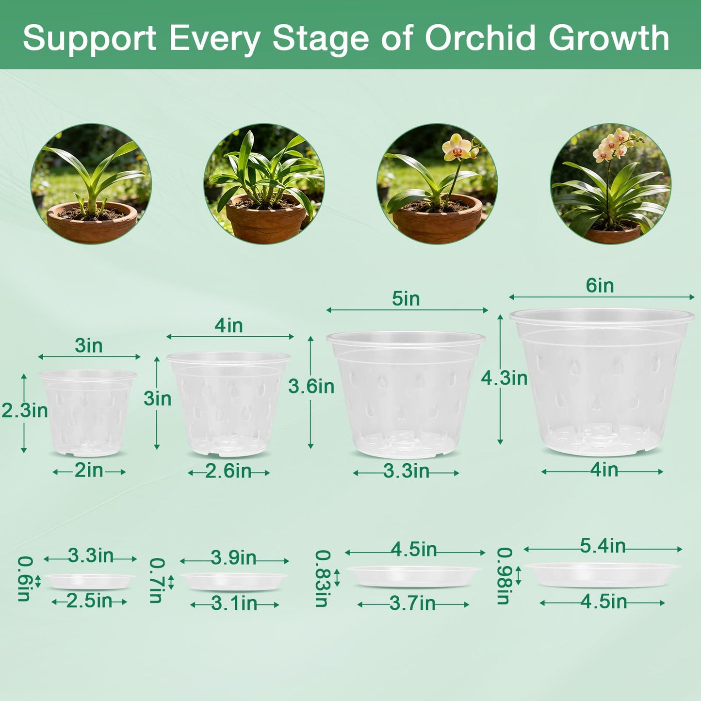 WTXHOP 3/4/5/6 Inch Orchid Pot, 12 Pack Clear Orchid Pots with Holes, Saucer and Plant Stakes for Repotting, Plastic Plant Pot for Indoor & Outdoor Plants