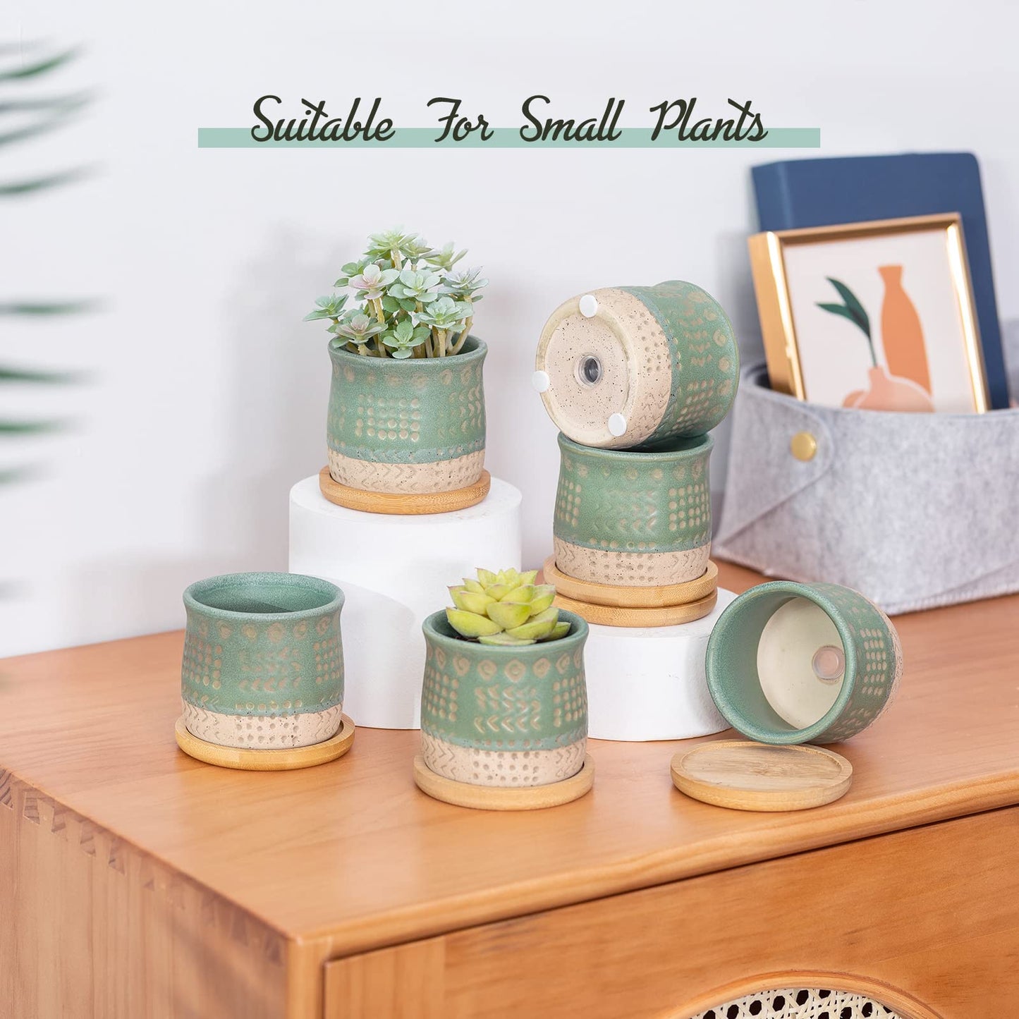 TAMAYKIM 2.75 Inch Mini Ceramic Succulent Plant Pots, Retro Tiny Planter Pots with Saucer & Drainage Hole, for Cactus, Small Plants, Set of 6, Green