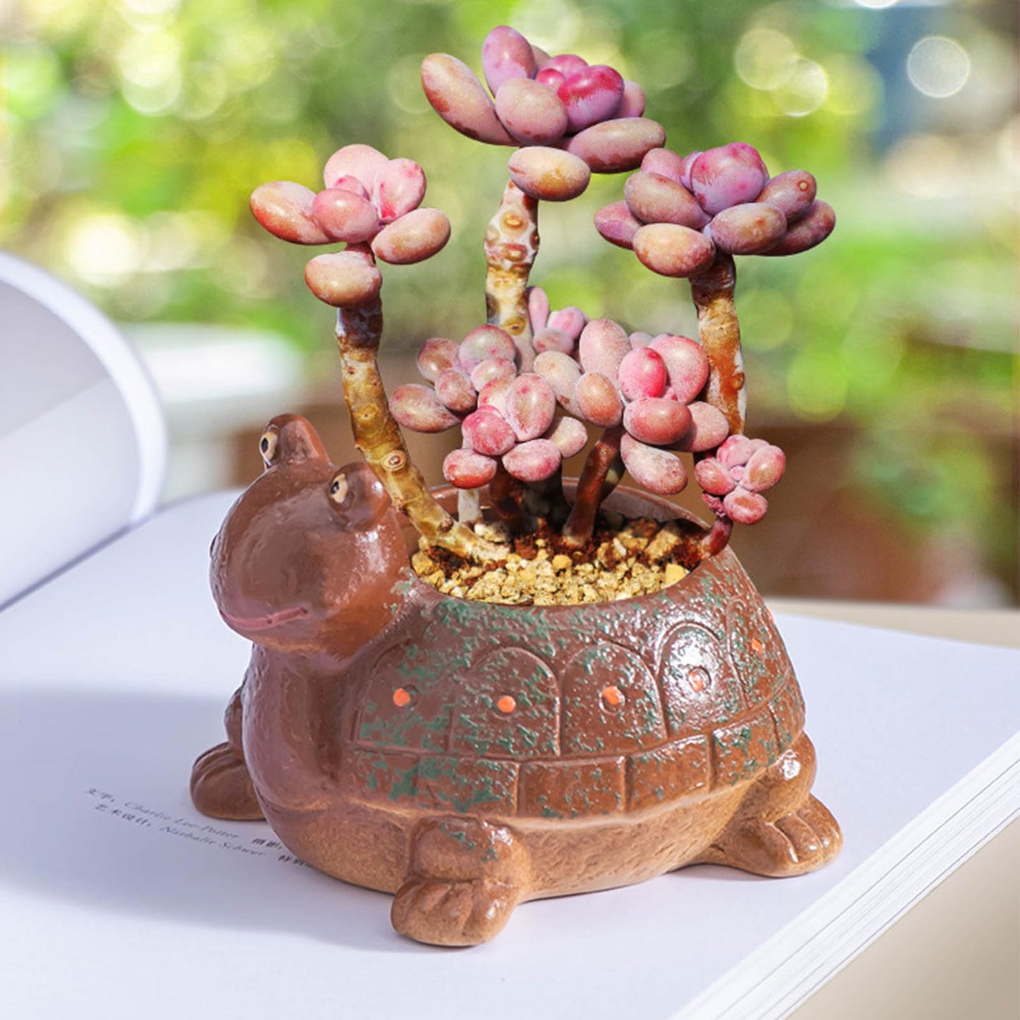 Cute Turtle Planter Succulent Pots, Small Succulent Planters with Drainage Hole, Turtle Plant Pots for Home Office Desktop, Turtle Flower Pot for Indoor Outdoor Decorations, Turtle Gifts for Women