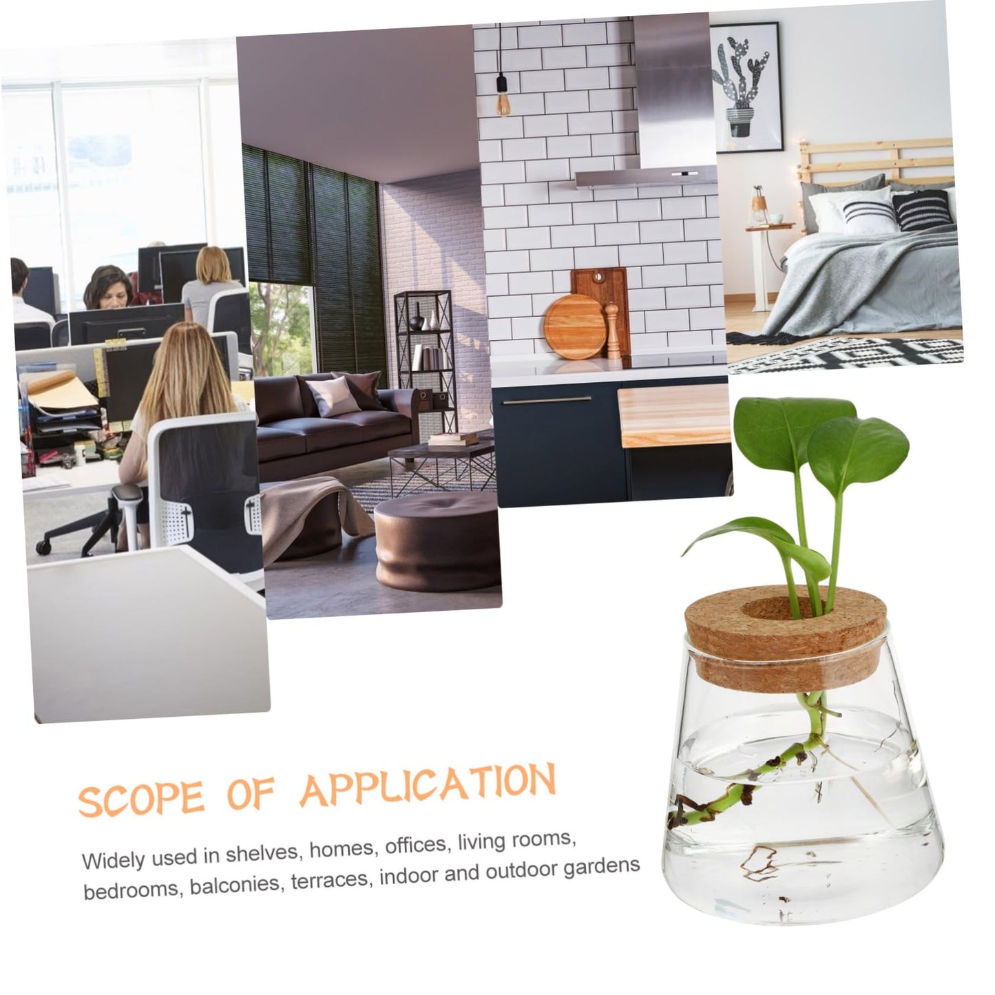 Garneck 2Pcs Hydroponic Plant Vases Clear Glass Terrarium Garden Decoration for Home Office Floral Arrangement and Nature Lovers Gift