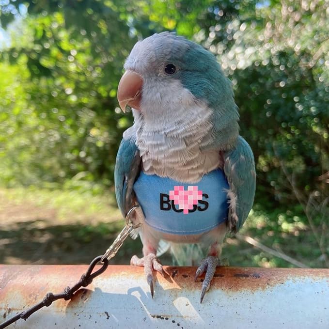 Bird Flight Harness Vest, Parrot Flight Suit with Leash, Bird Flying Clothes with Rope and Handle for Outdoor Activities (M)