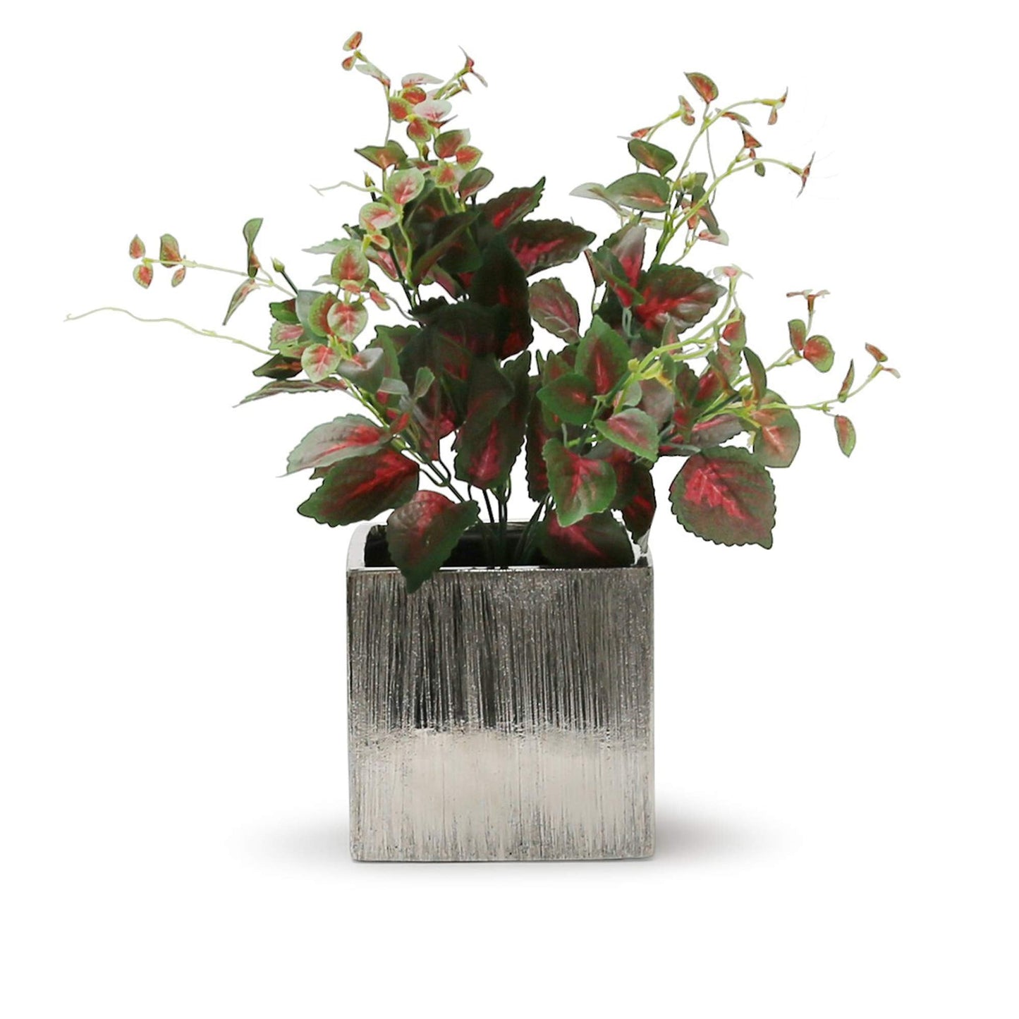 WGV Ceramic Cube Vase Width 5.5" Height 5" (Fits 5" Pot) Elegant Modern Block Square Floral Planter Terrarium Container Table Dresser for Event Accent Home Office Decor Silver Textured 1 Piece