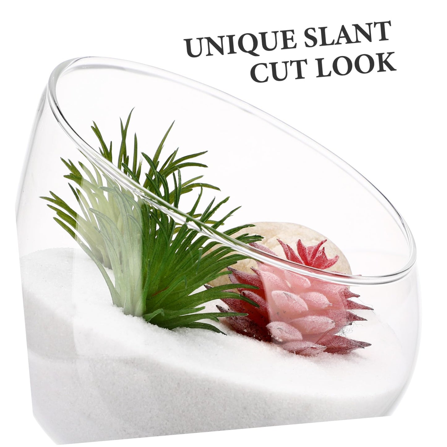 Yardwe Glass Terrarium Bottle 4.72In Thickened Succulent Decor with Slant Cut Design for Indoor Outdoor Home Ecological Ornament and Micro Landscape Display