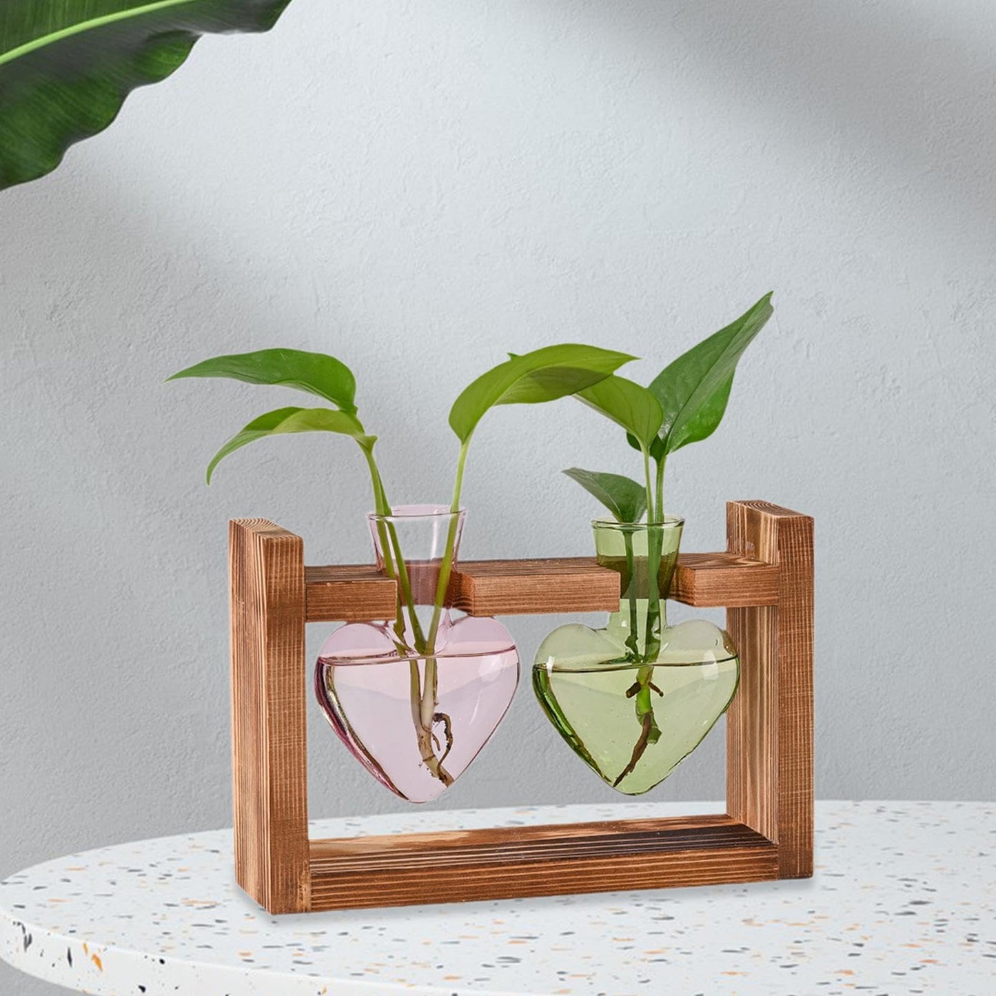 Gcljlmy Hydroponic Flower Vase Glass Vase Table Centerpiece Plant Propagation Modern Propagating Jar Plant Terrarium for Dining Table, Pink Green (Pink Green)