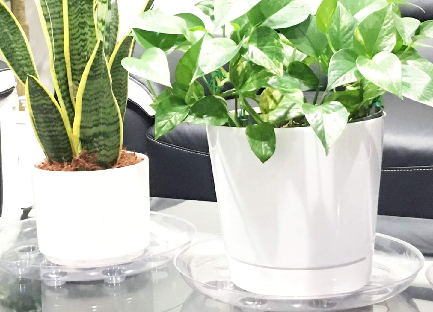 ILUVUMOREI 2 Pack of 12 inch Clear Round Plant Saucer, Thicker Plastic Tray for Indoor, Durable Flower Pot Planter Saucers with Multiple Support Footing Designed for Improved Airflow.
