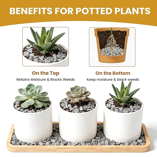 1/8 Inch Aquarium Gravel, Small Pebbles for Fish Tank & Indoor Plants, Natural Mini River Rocks for Succulent Soil Mix, Drainage, Terrarium & Vase Filler - Gray, 12 lb