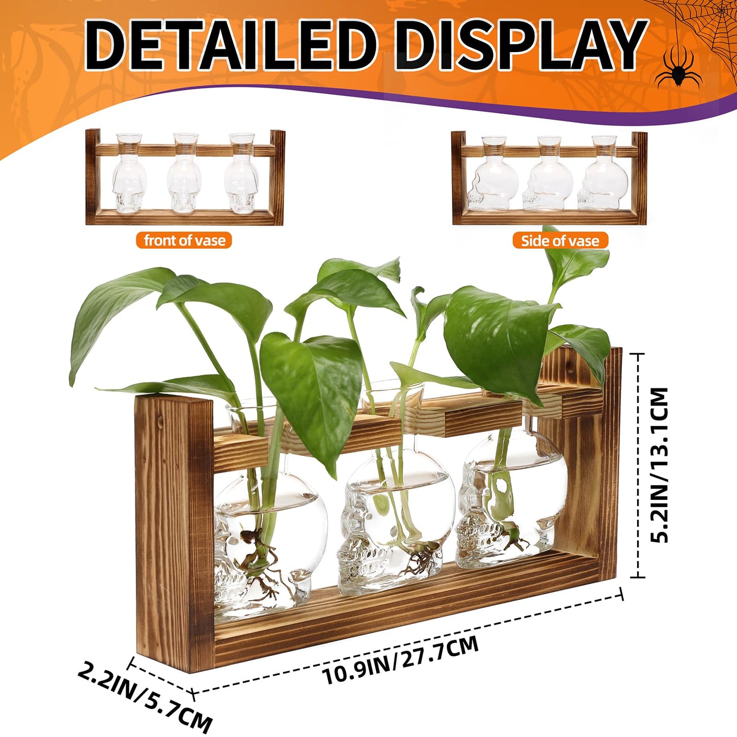 Plant Terrarium Propagation Stations Hydroponics Halloween Skull Planter Vase Skulls Decor with Wooden Stand Gife for Father