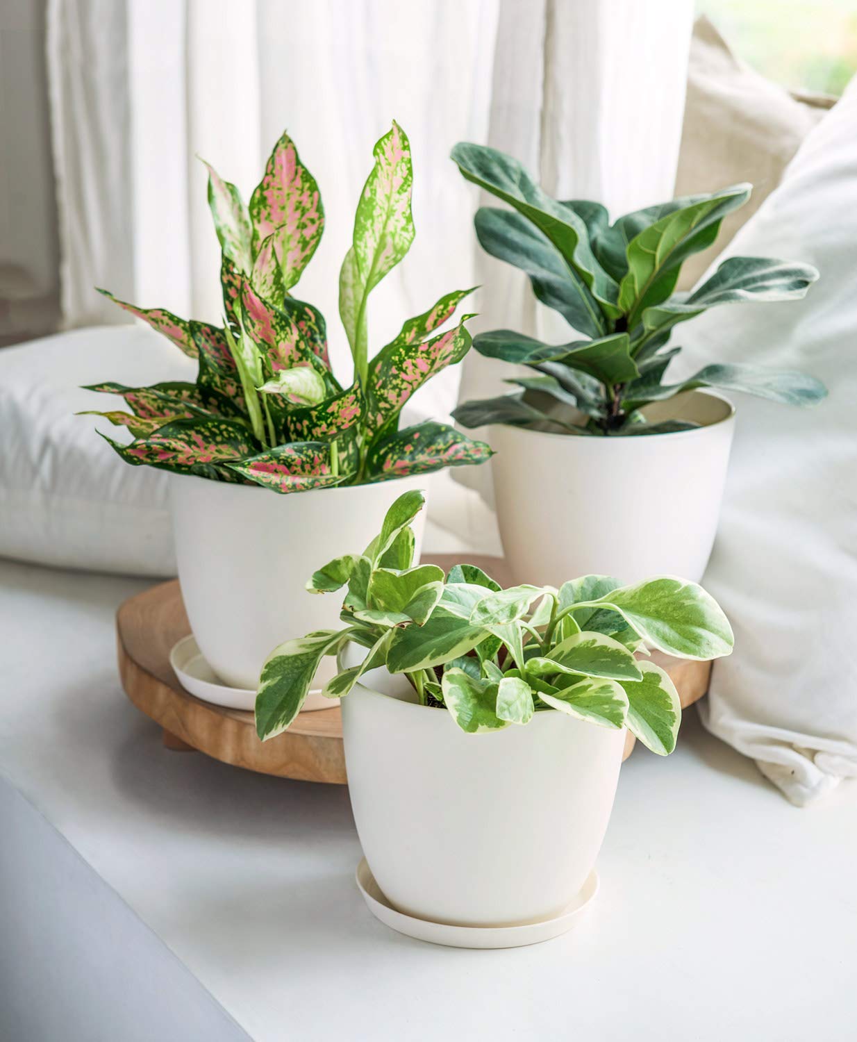 Mkono 7.5 Inch Plastic Planters Indoor Set of 3 Flower Plant Pots Modern Decorative Garden Pot with Drainage and Tray for All House Plants, Flowers, Herbs, Foliage Plant, and Seed Nursery, Cream White