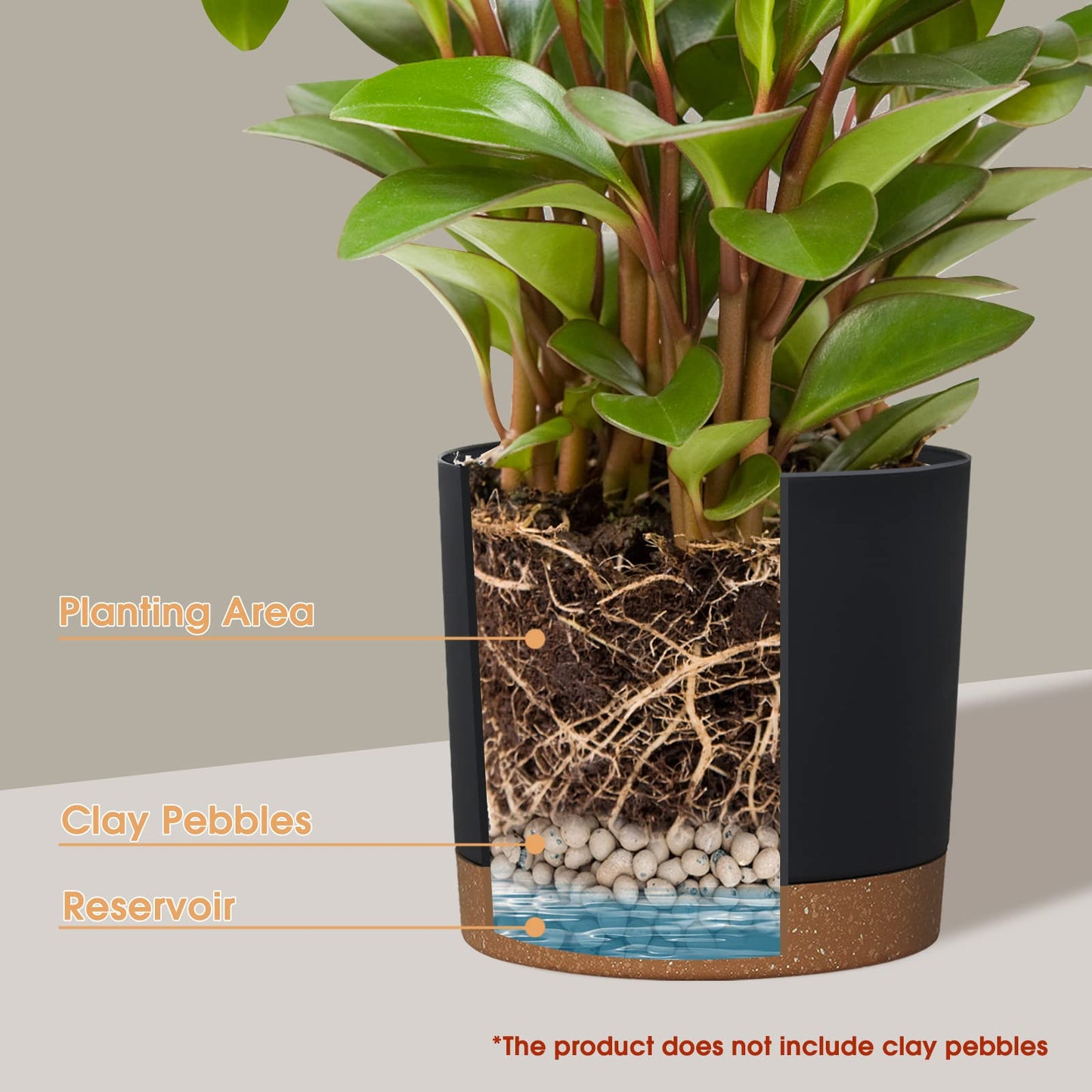 kubvici Plant Pots for Indoor Plants, 2 Pack 10 Inch Plant Pot Plastic Flower Pots Planters with Drainage Saucer for Indoor Outdoor Garden Home (10" Black)