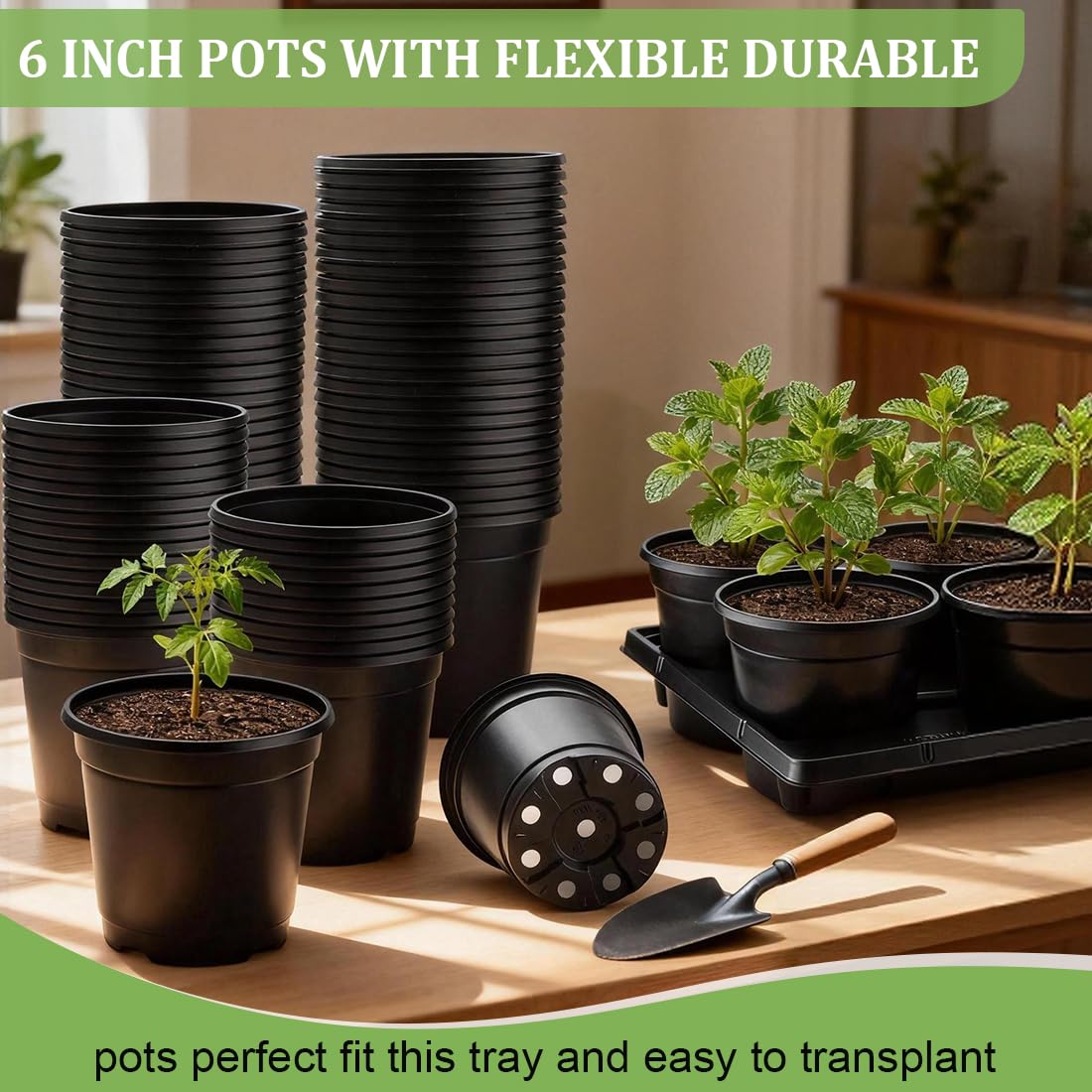 RooTrimmer 6 Inch Plastic Plant Pots 30 Pack and 6 Cell Nursery Pots Trays 5 Pack, Sturdy Seeds Starting Germination Shuttle Carrying Trays, Black Nursery Planting Propagation 5 Sets