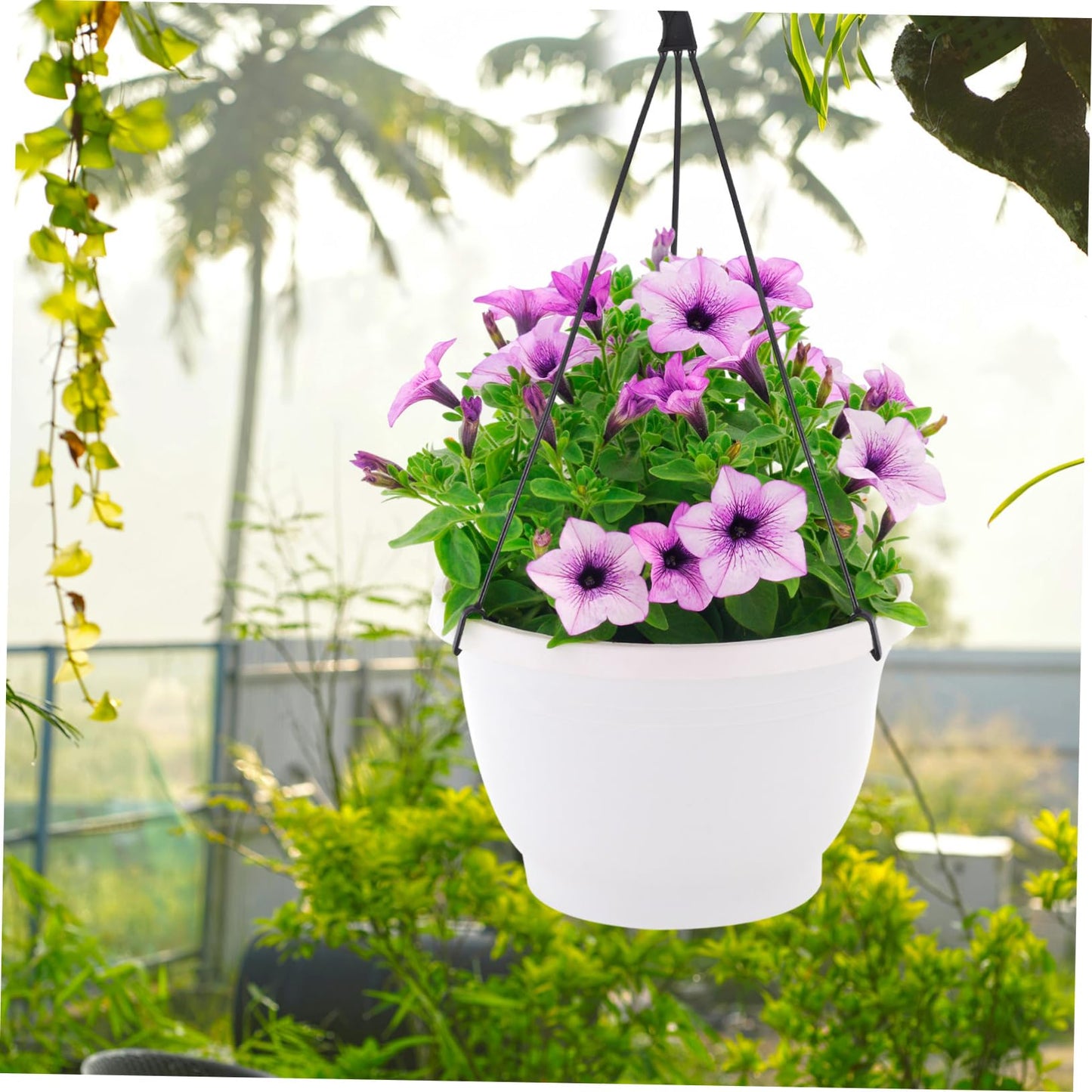 Cabilock 10pcs Plastic Hanging Hooks for Indoor and Outdoor Plant Display Flower Pot Hanger for Garden Balcony and Home Decor for Pothos